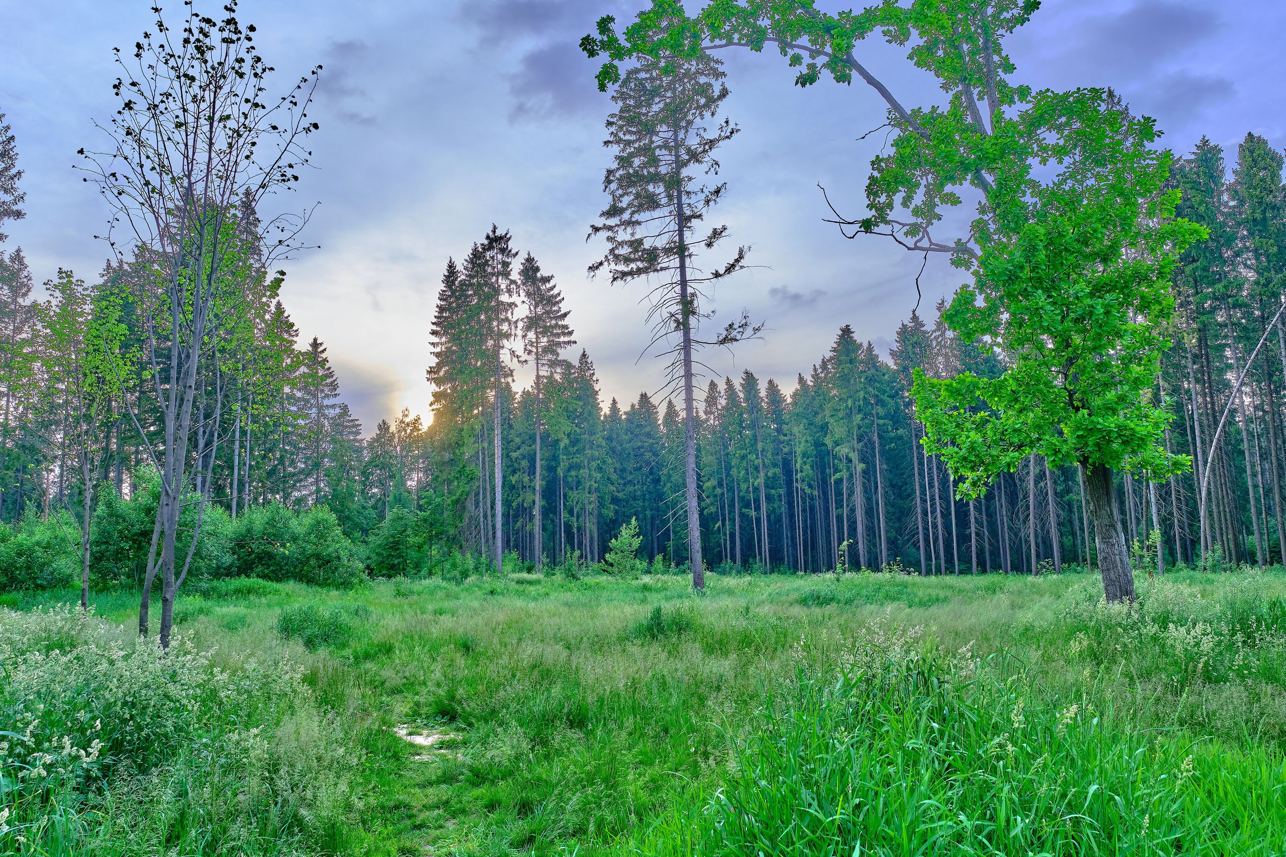 Фотоальбом с разными съёмками