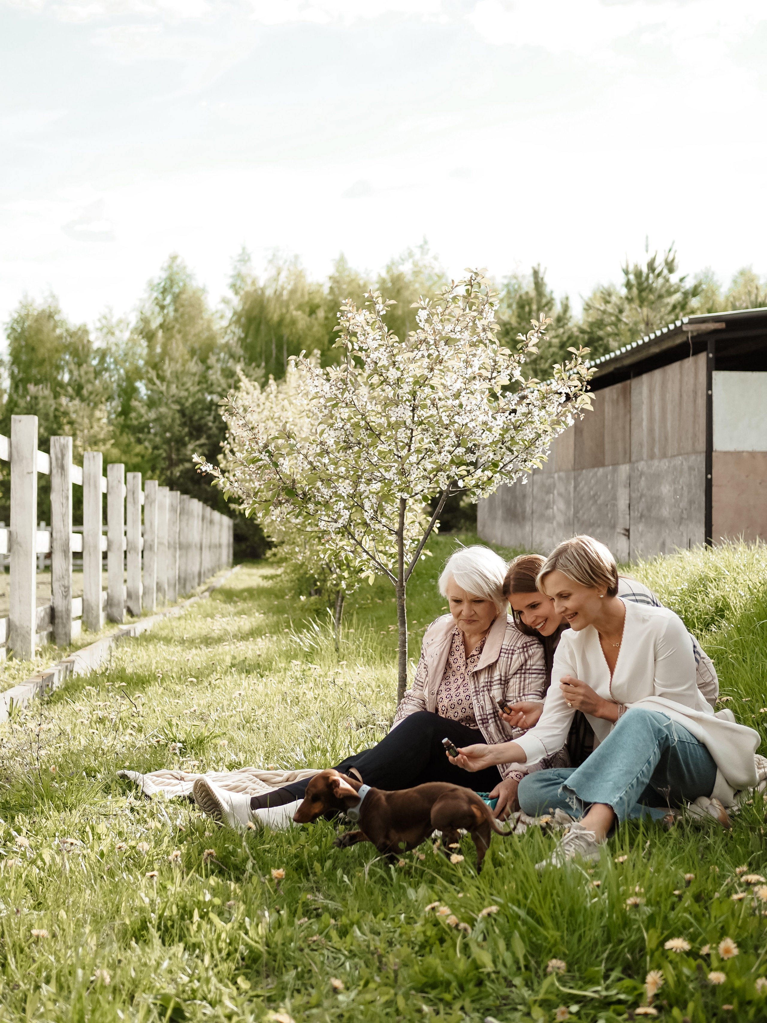 История. Фотограф Рязань. Семейный Свадебный фотограф
