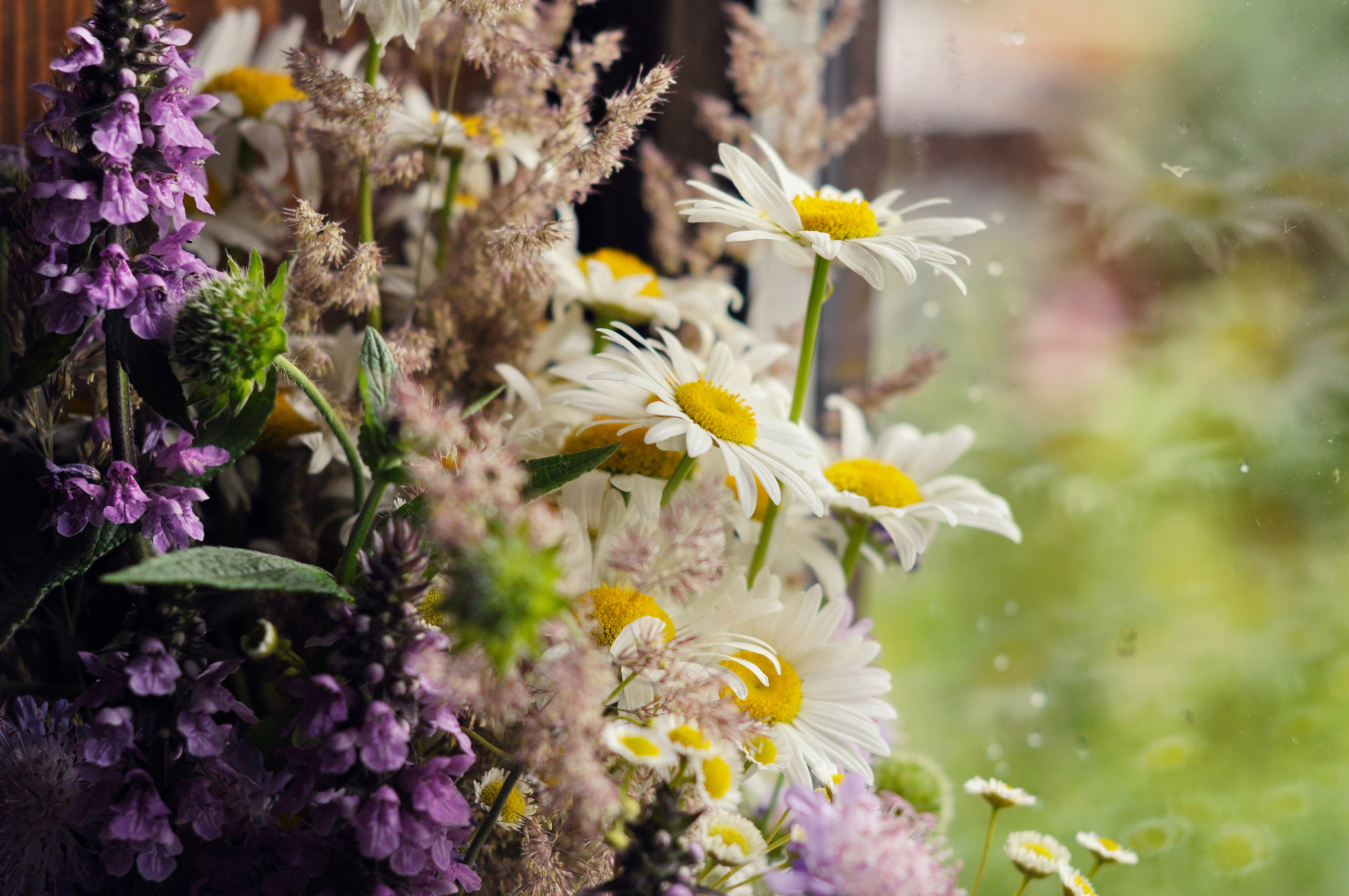 Landscape фото. Фотограф и художник Kerry Moore