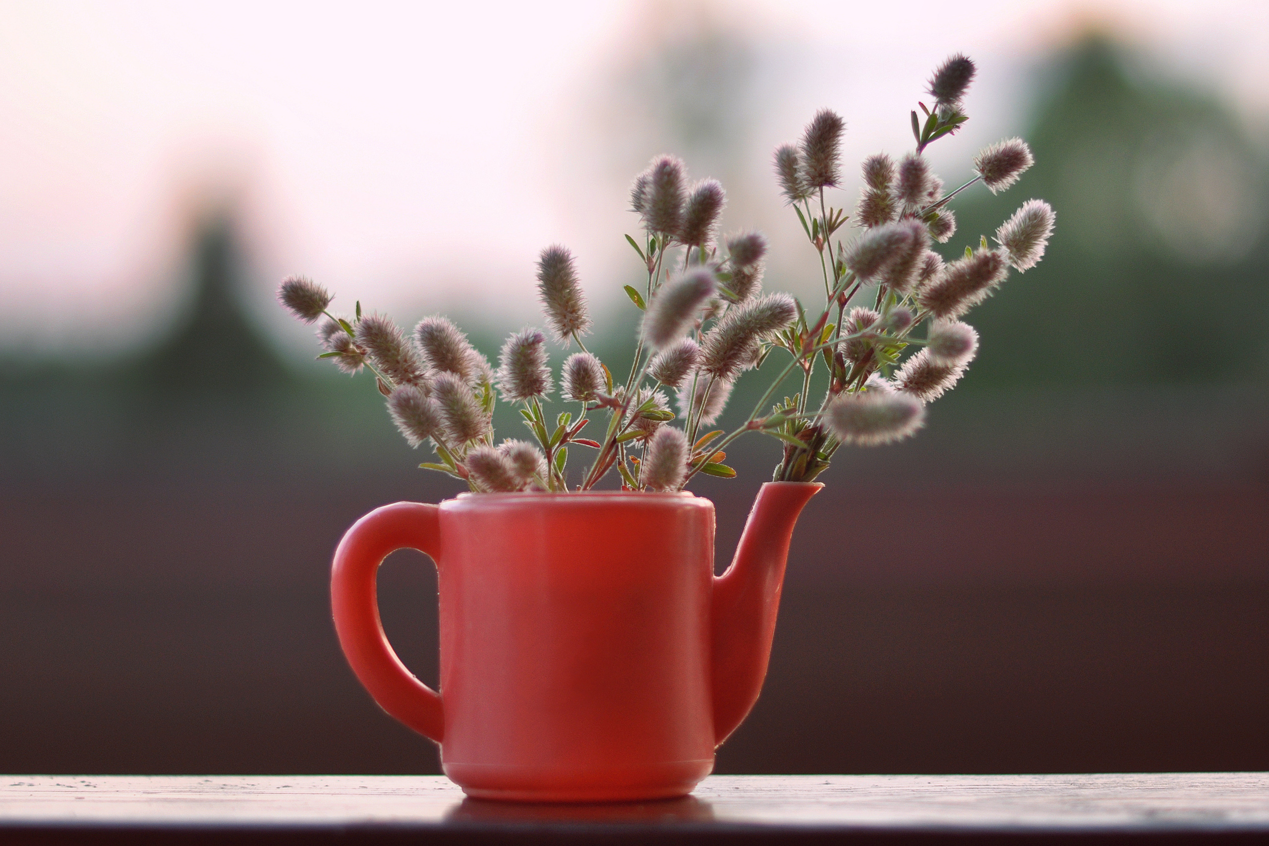 Landscape фото. Фотограф и художник Kerry Moore