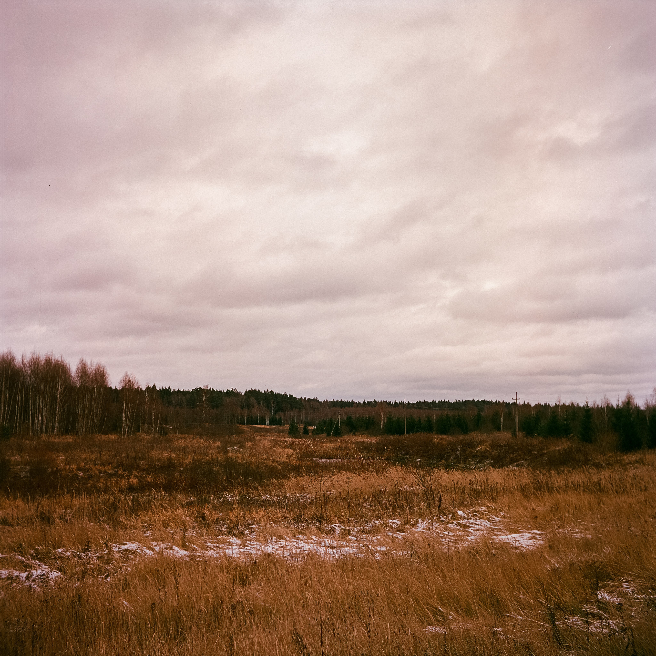 Yashica 635 / Aeronega 100 (Kodak Aerocolor IV) / ноябрь 2024 Лукино