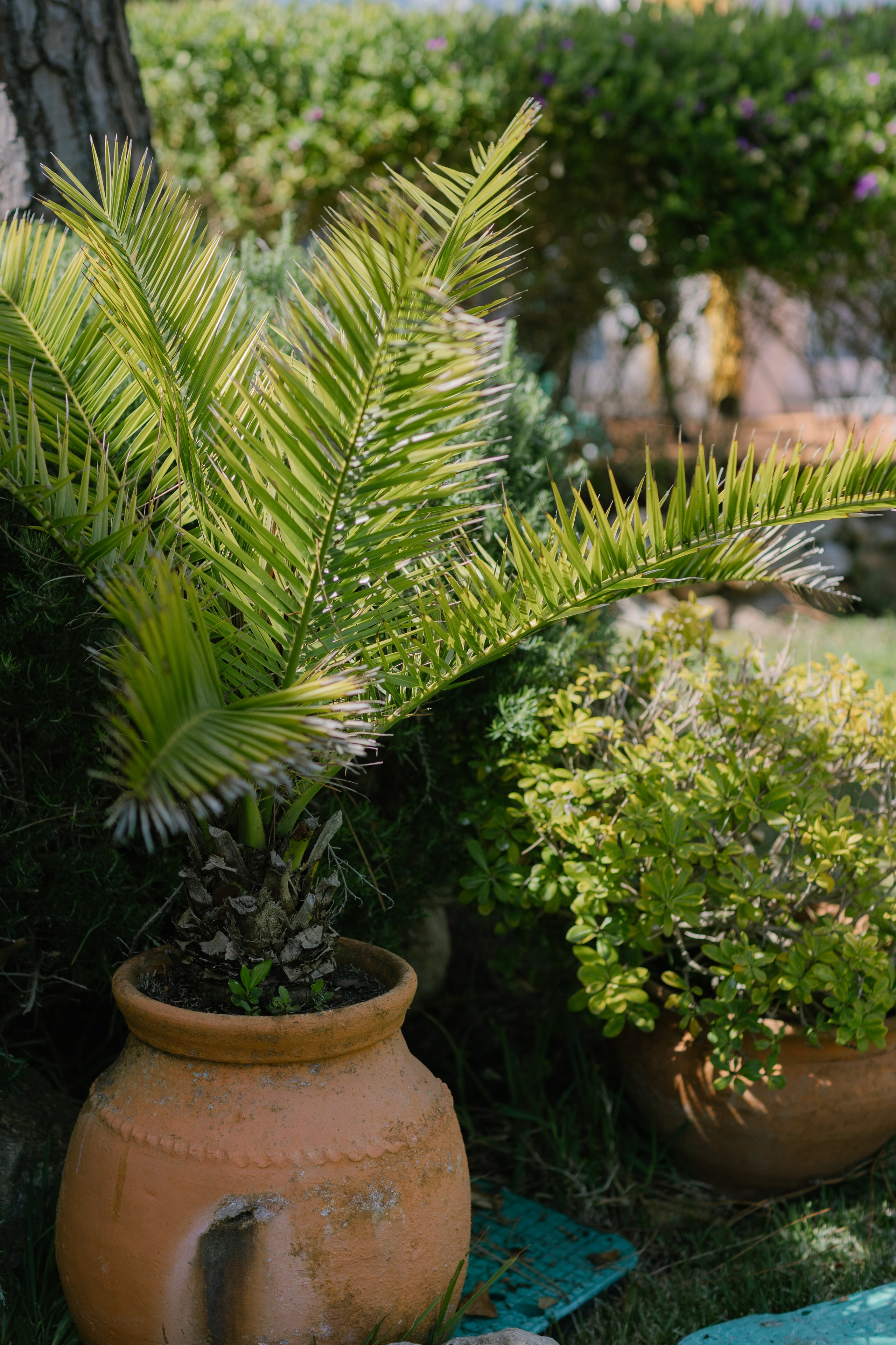 Lisboa. Свадебный и женский фотограф в Лиссабоне Яковлева Ольга