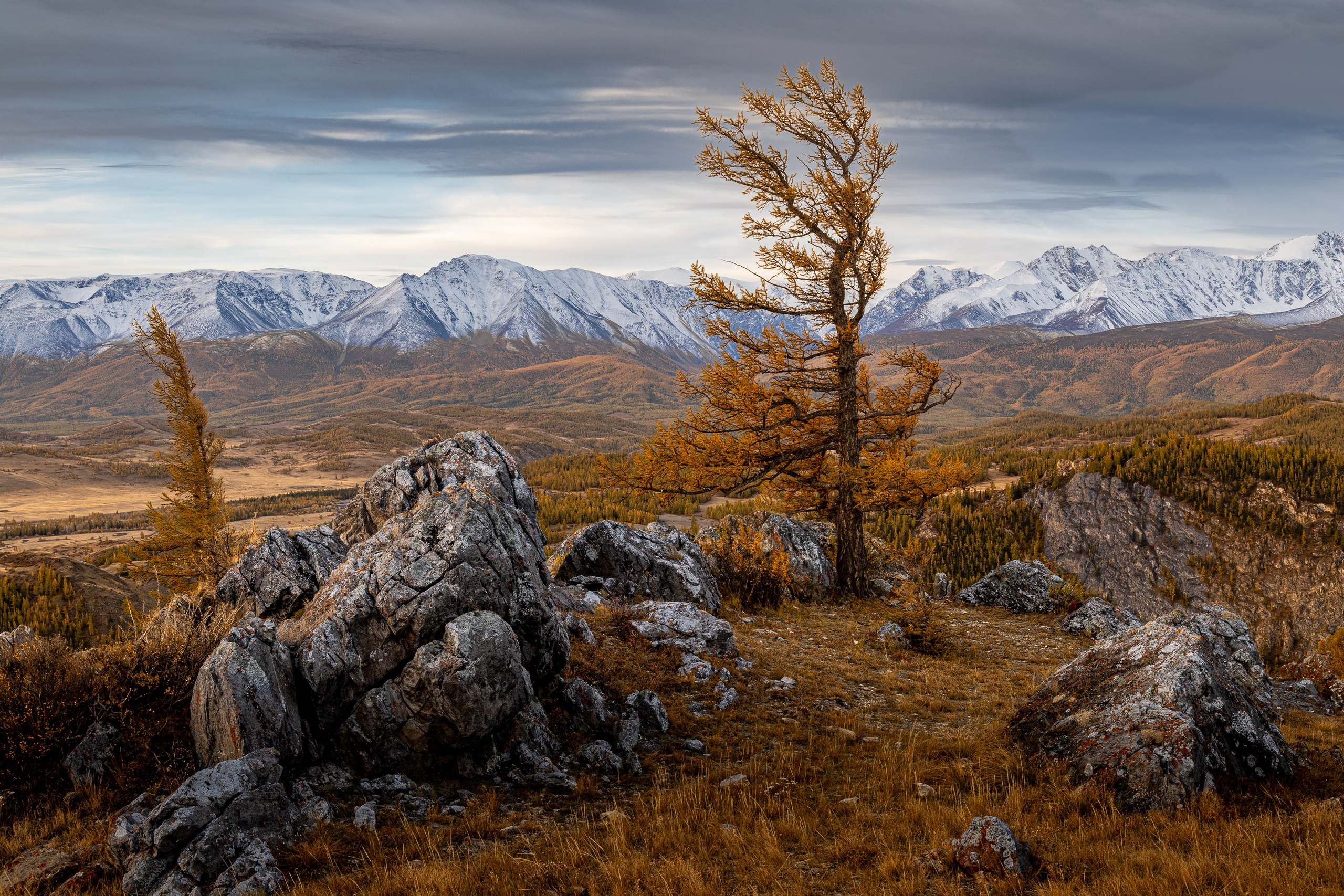 Алтай. Фотография Евгений