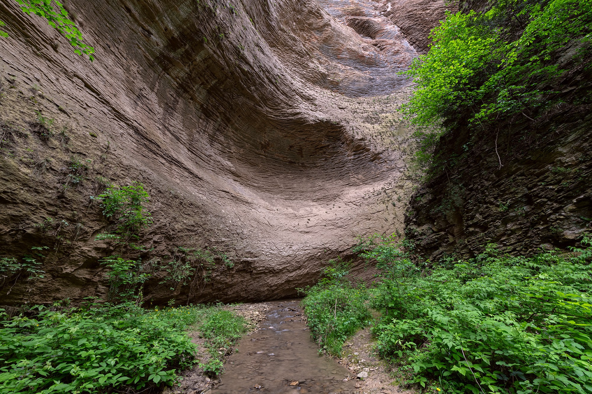 Зизикская теснина