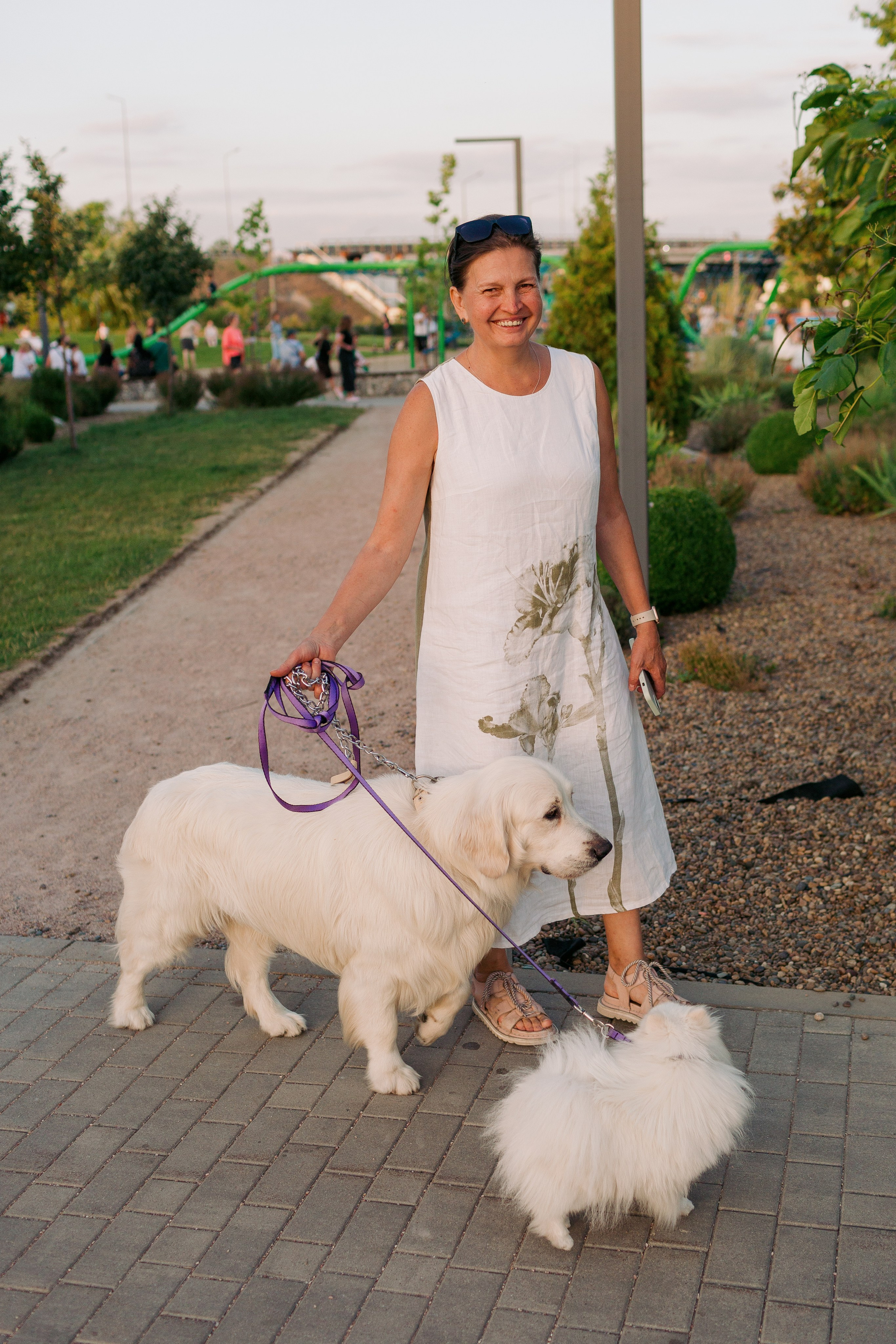 Dog Fest 2024. Главная