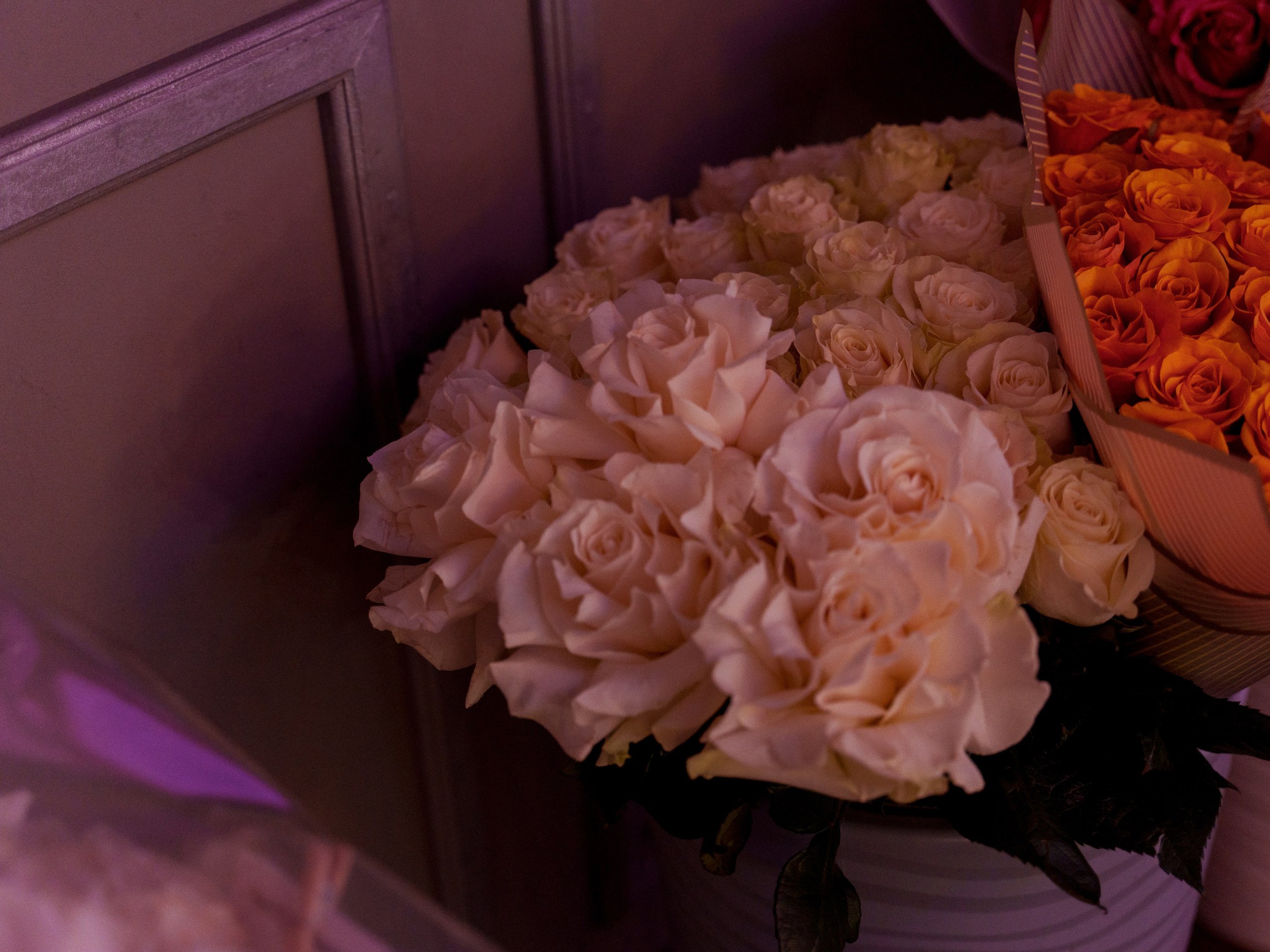 Сергей и Анастасия. Свадебный и семейный фотограф Диана Лбова. Чебоксары