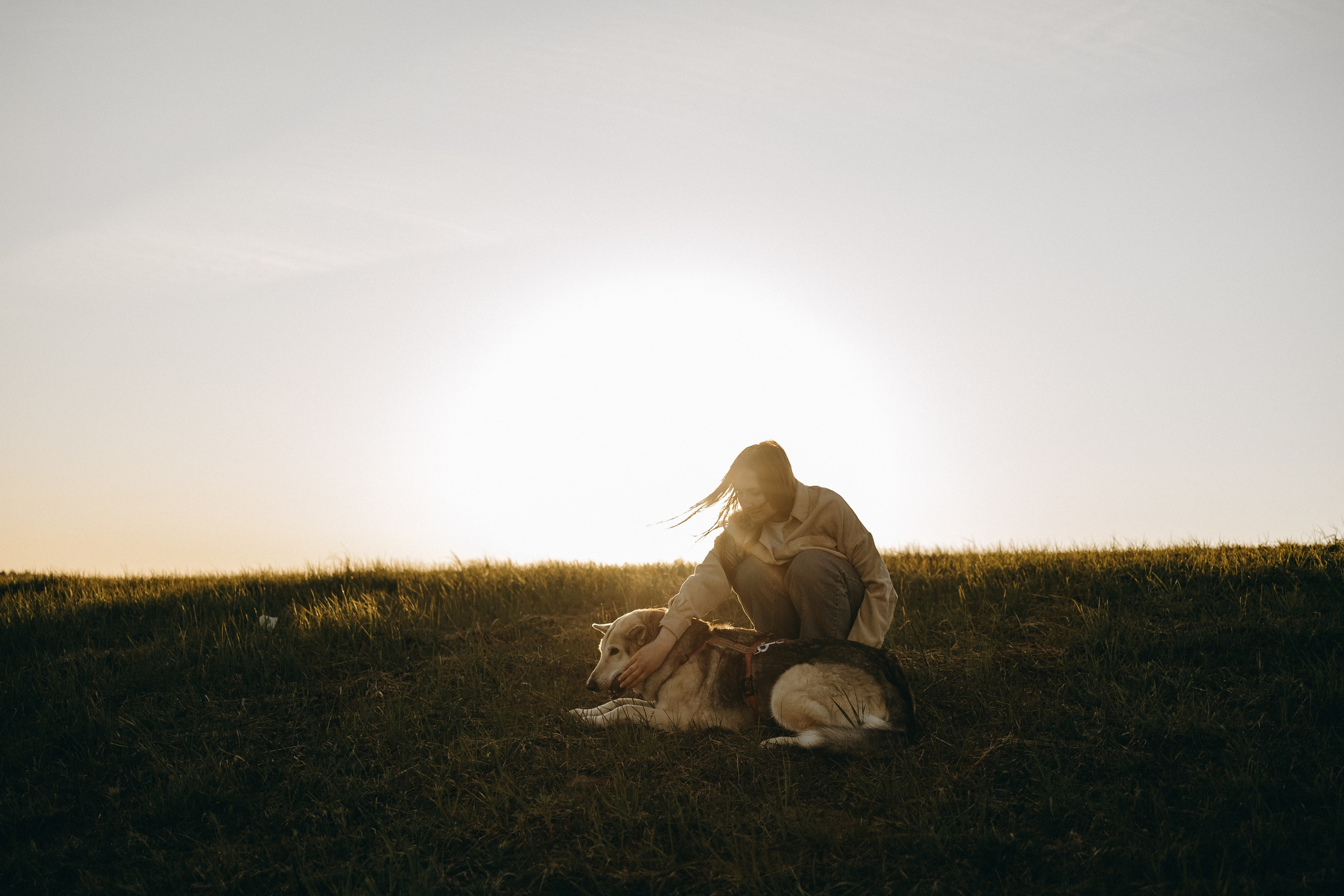 Саша и Зельда. Фотограф — Анималист | Санкт-Петербург