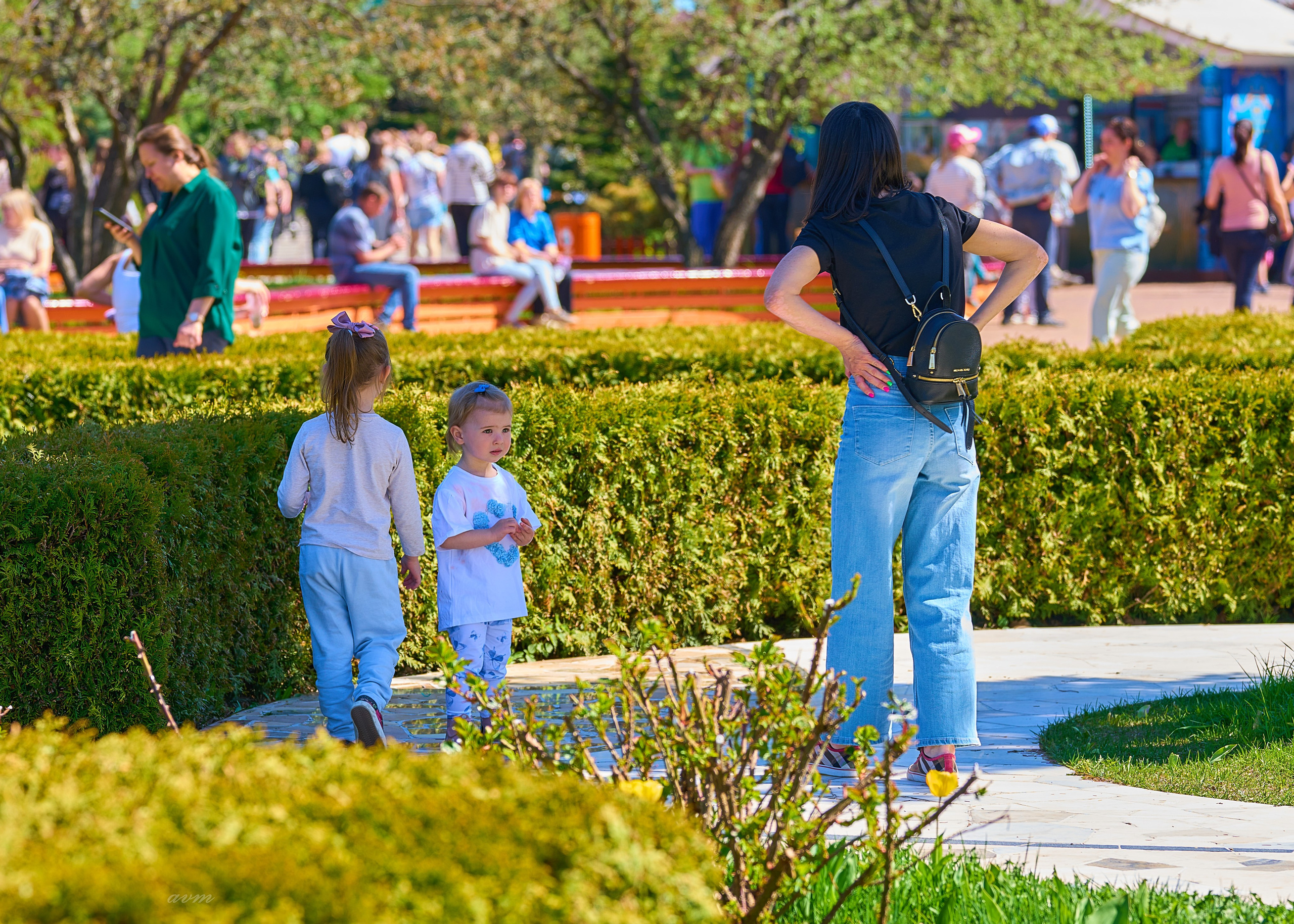 Лето 2024 КРЕСТОВСКИЙ ОСТРОВ. Фотограф Михеев Андрей
