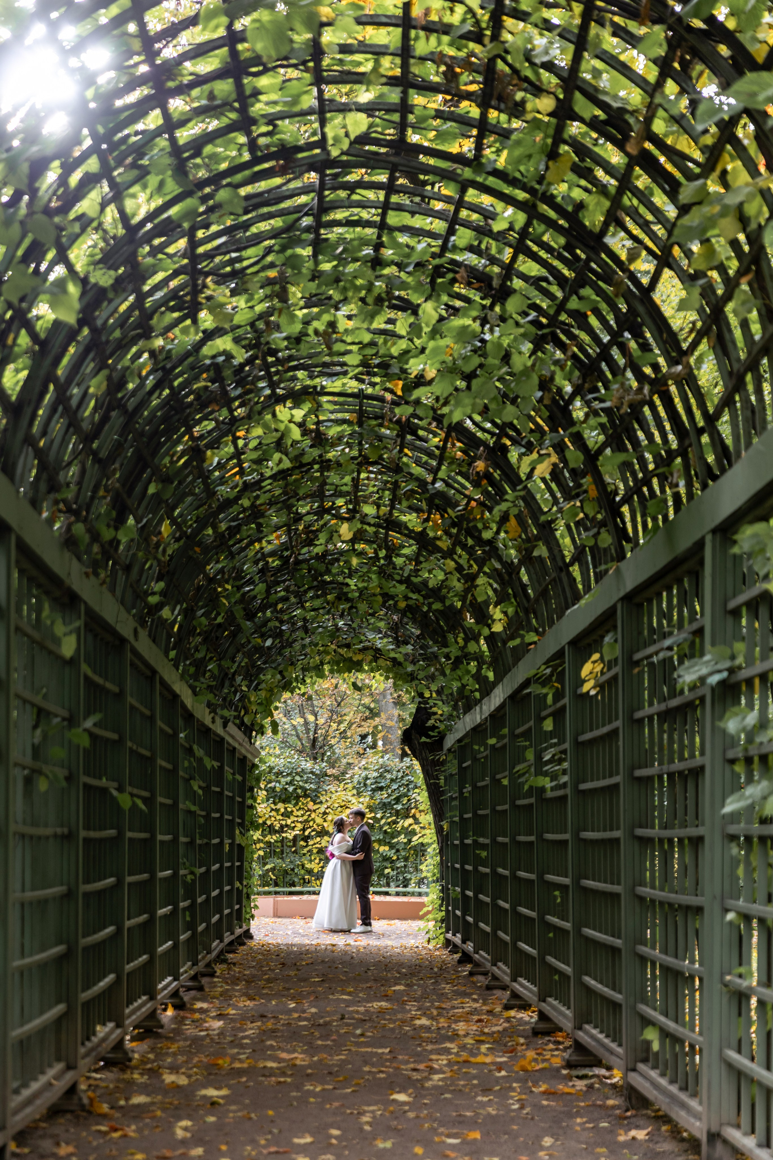 Свадьба Софии и Александра. Свадебный и портретный фотограф в Санкт-Петербурге Надежда Чечулина