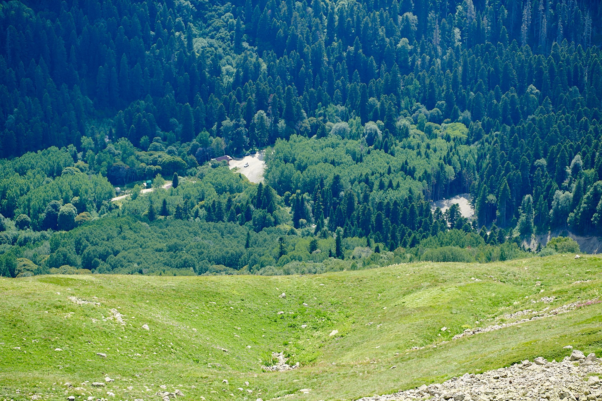 Домбай август 2024. Фотографии отовсюду и обо всем