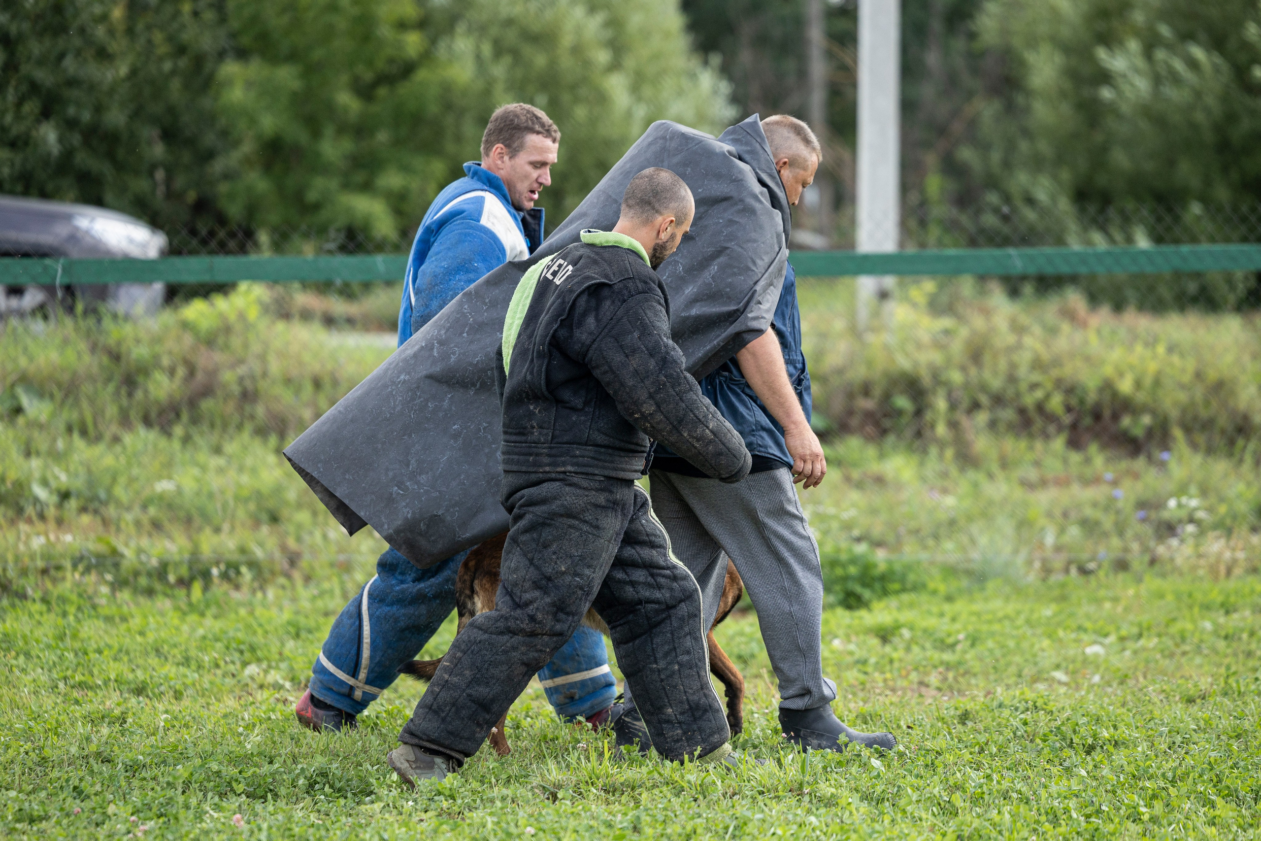 Соревнования по Мондьорингу г. Вологда 10-11.08.2024. Фотограф-анималист Анна Маринич