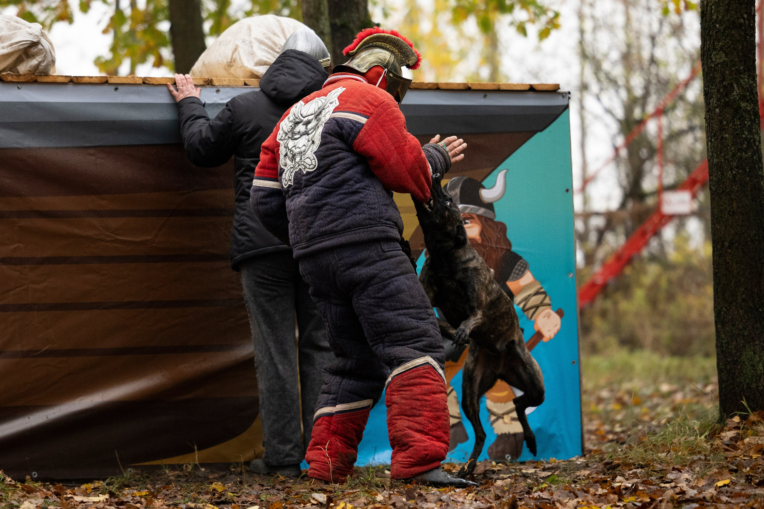 Соревнования по Мондьорингу г. Вологда. Фотограф-анималист Анна Маринич