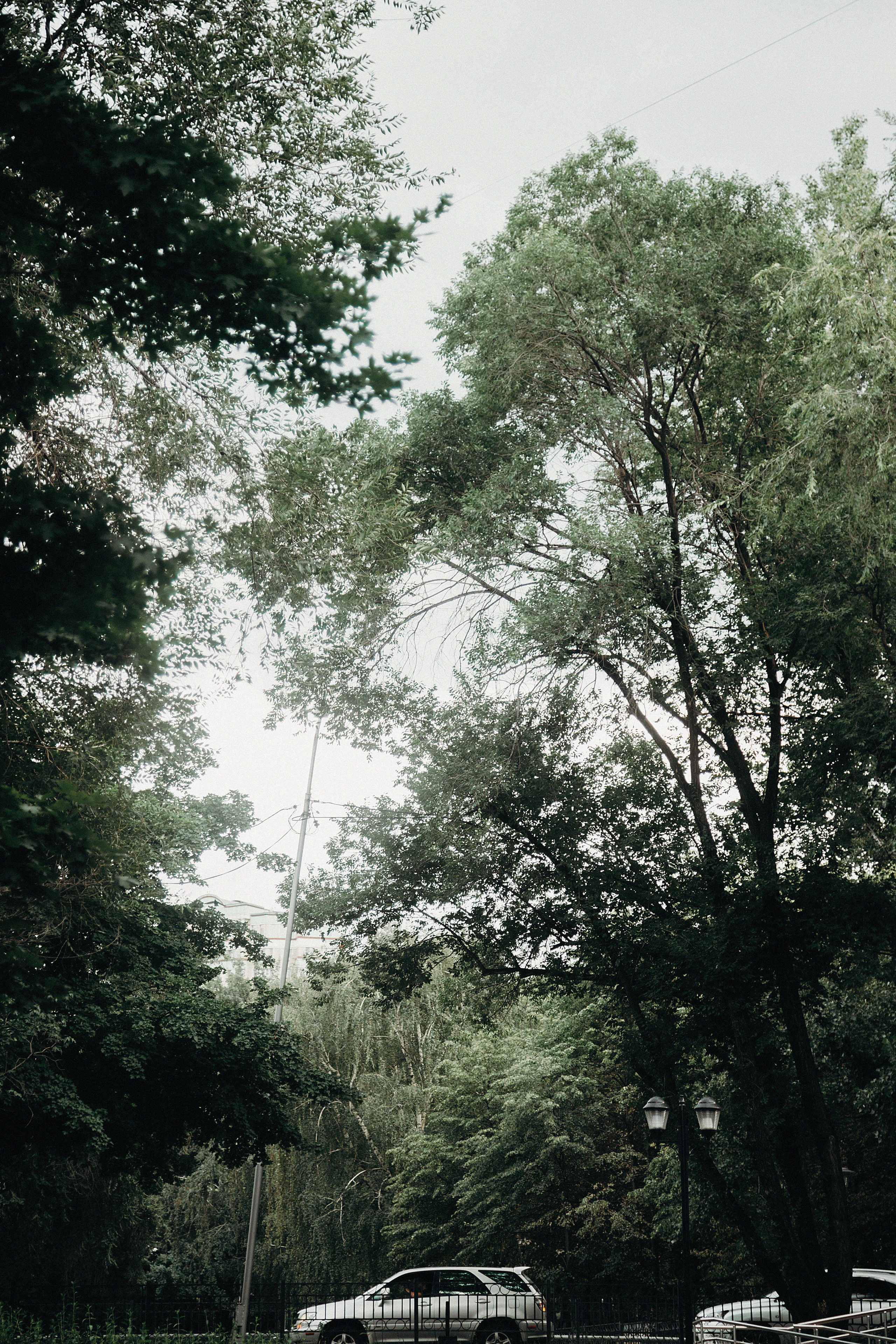 Стрит фото Алматы. Свадебный, семейный и портретный фотограф в Алматы, Костанай