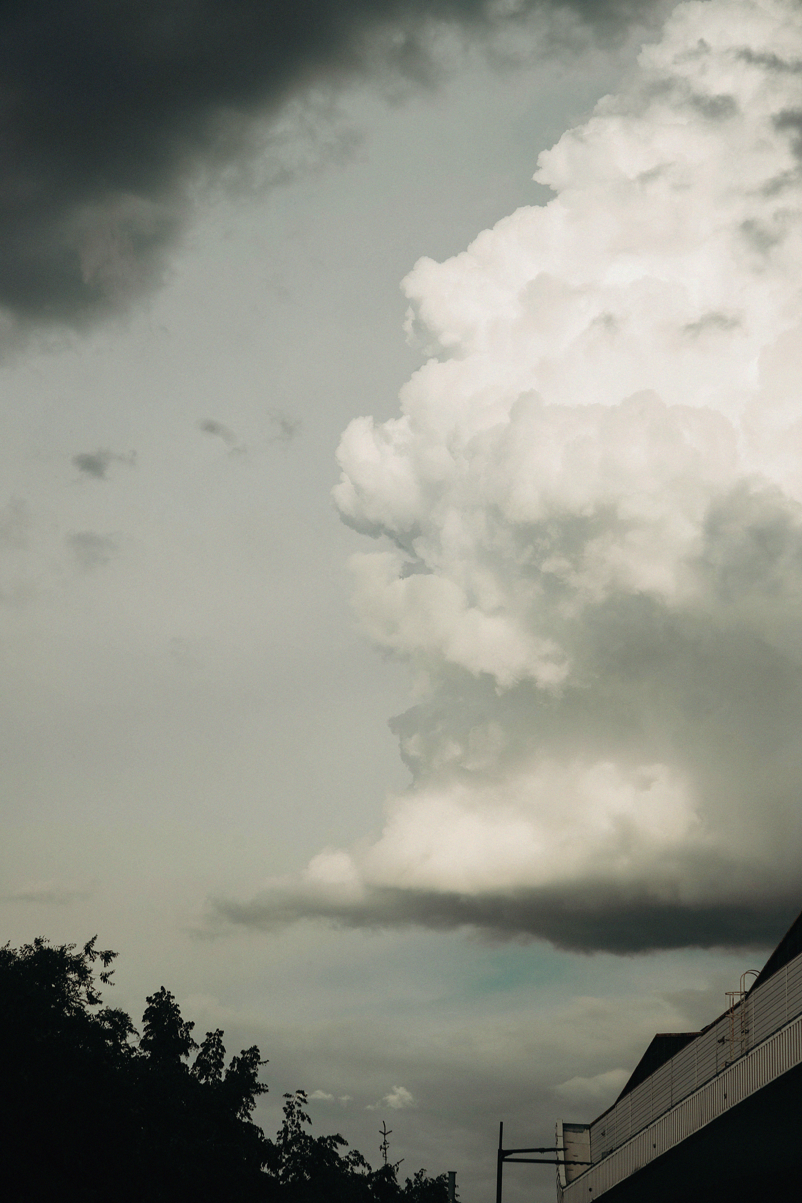 Стрит фото Алматы. Свадебный, семейный и портретный фотограф в Алматы, Костанай
