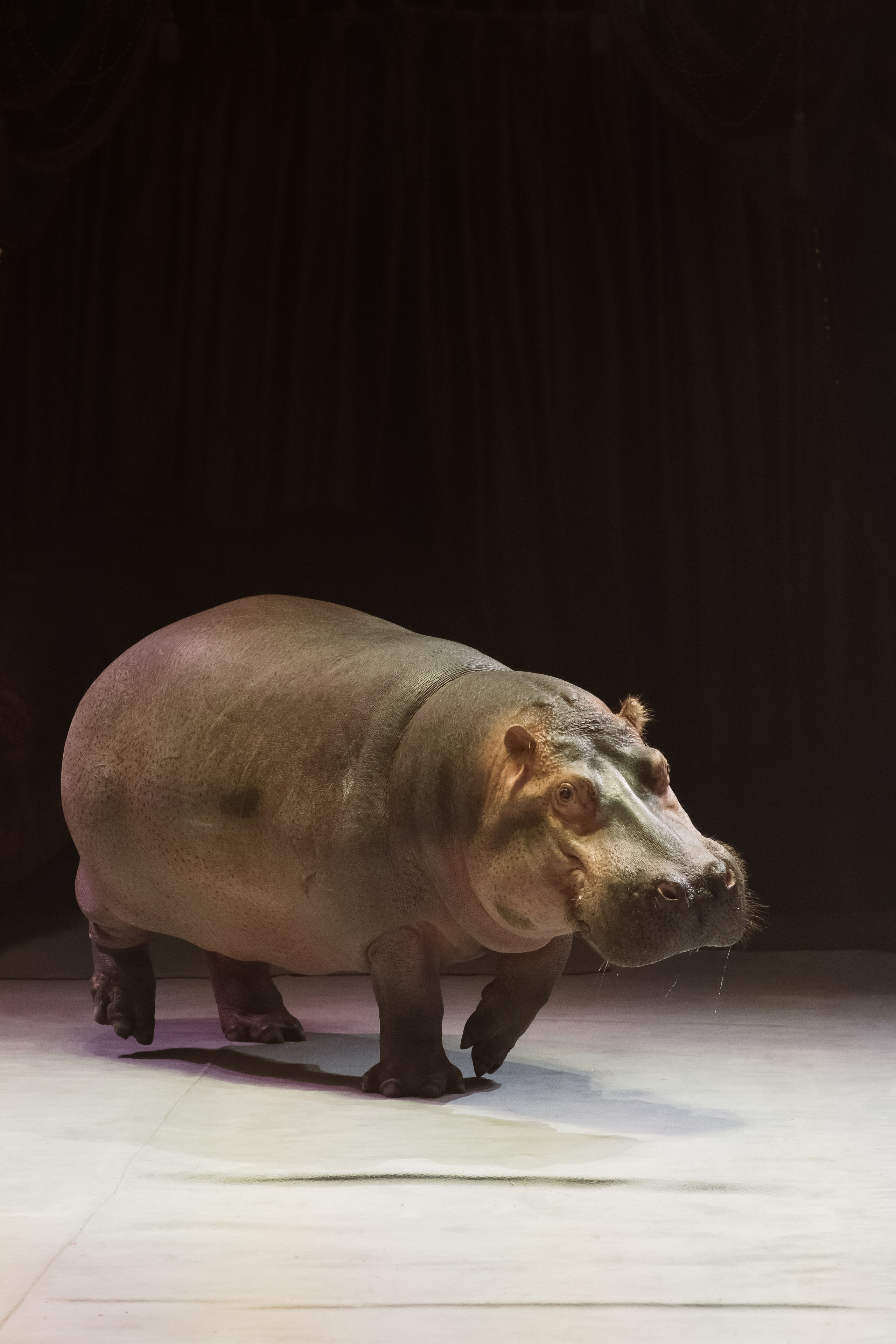 Репортаж. Фотограф Новосибирск Анна Рождественская