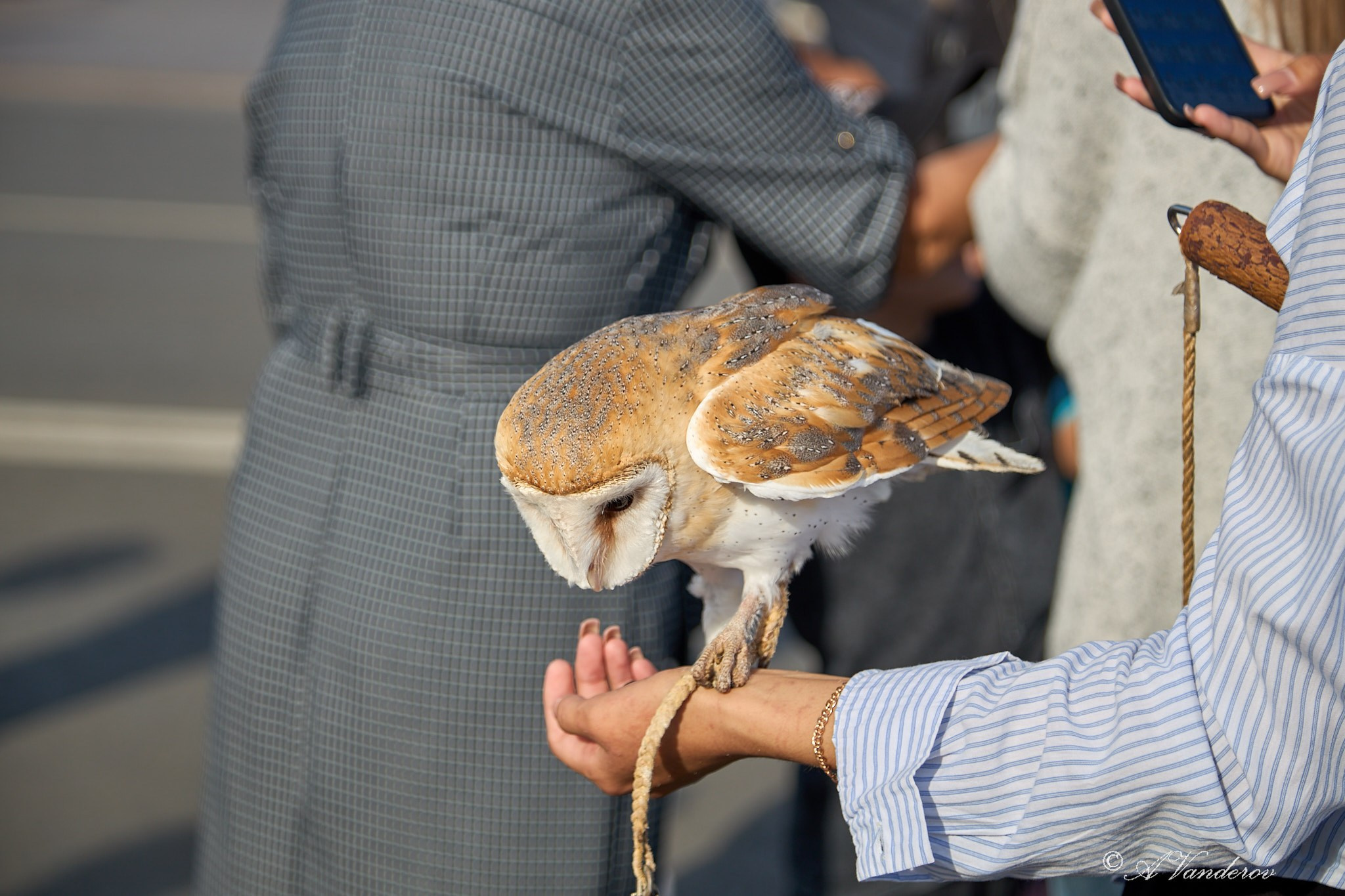 День города 2025. Фотограф Омск | Александр Вандеров