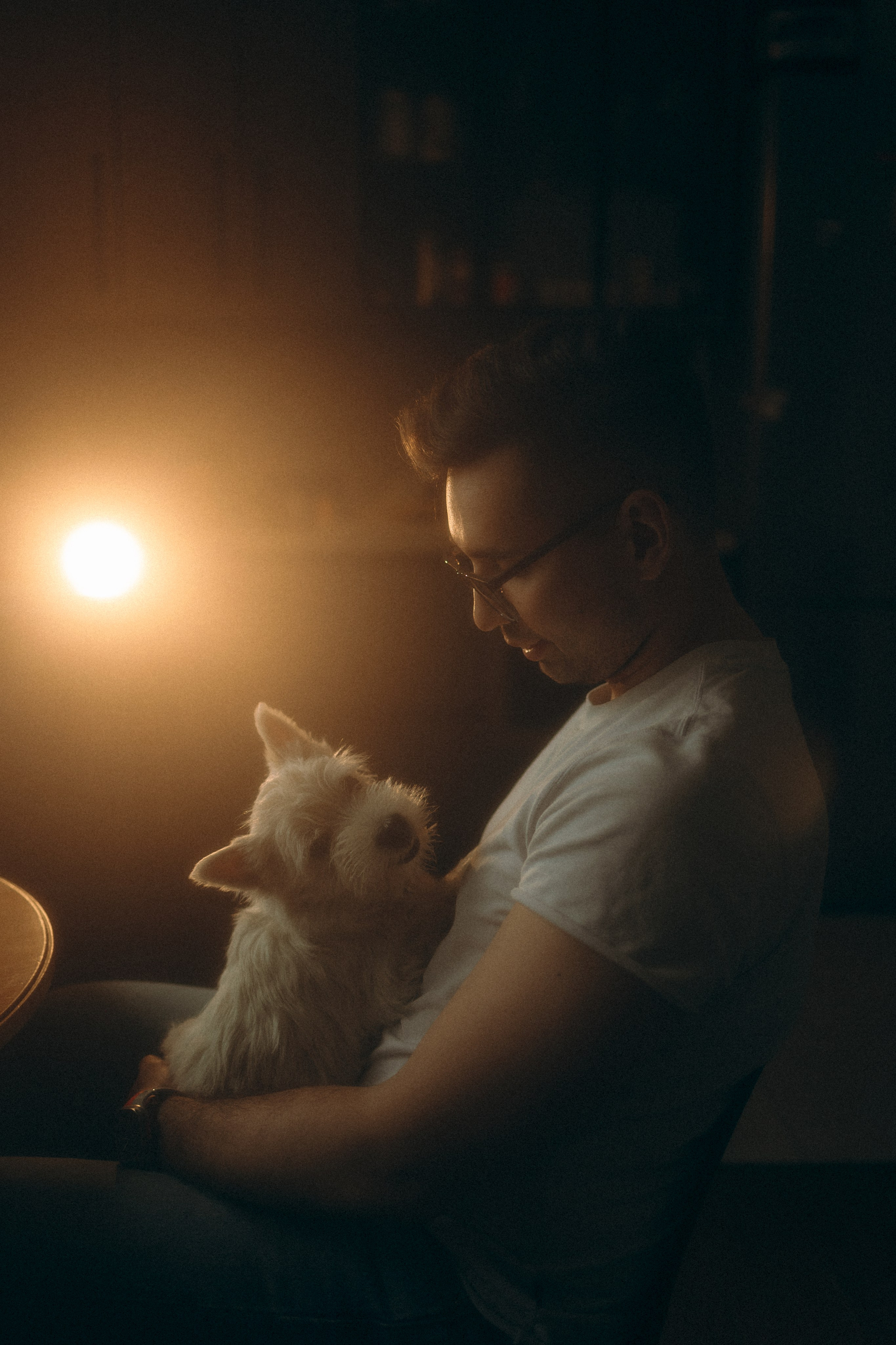 Снежуля, Мари и Саша. Фотограф анималист Анастасия Пикей