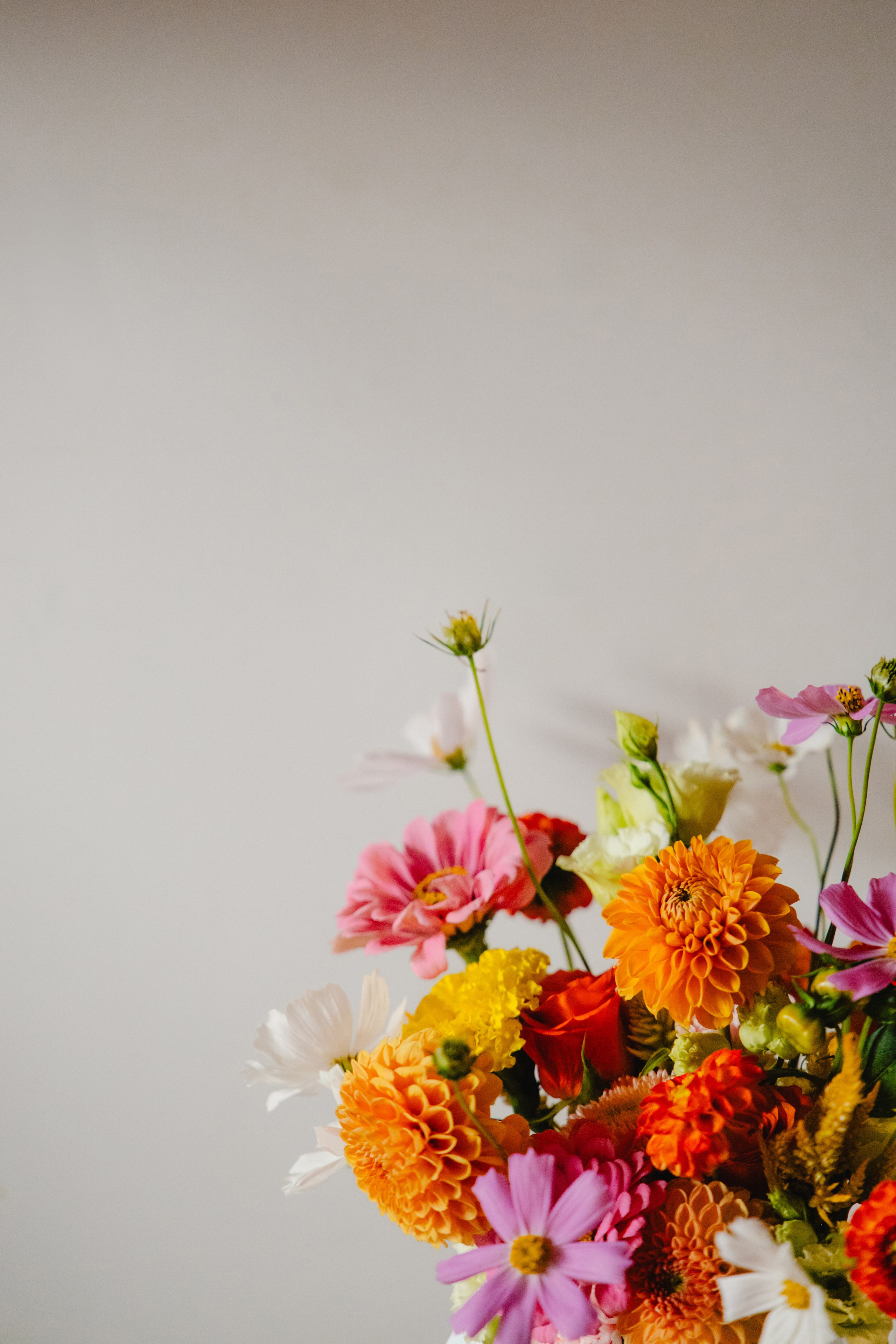 Данил и Даша. Организатор Романова Любовь