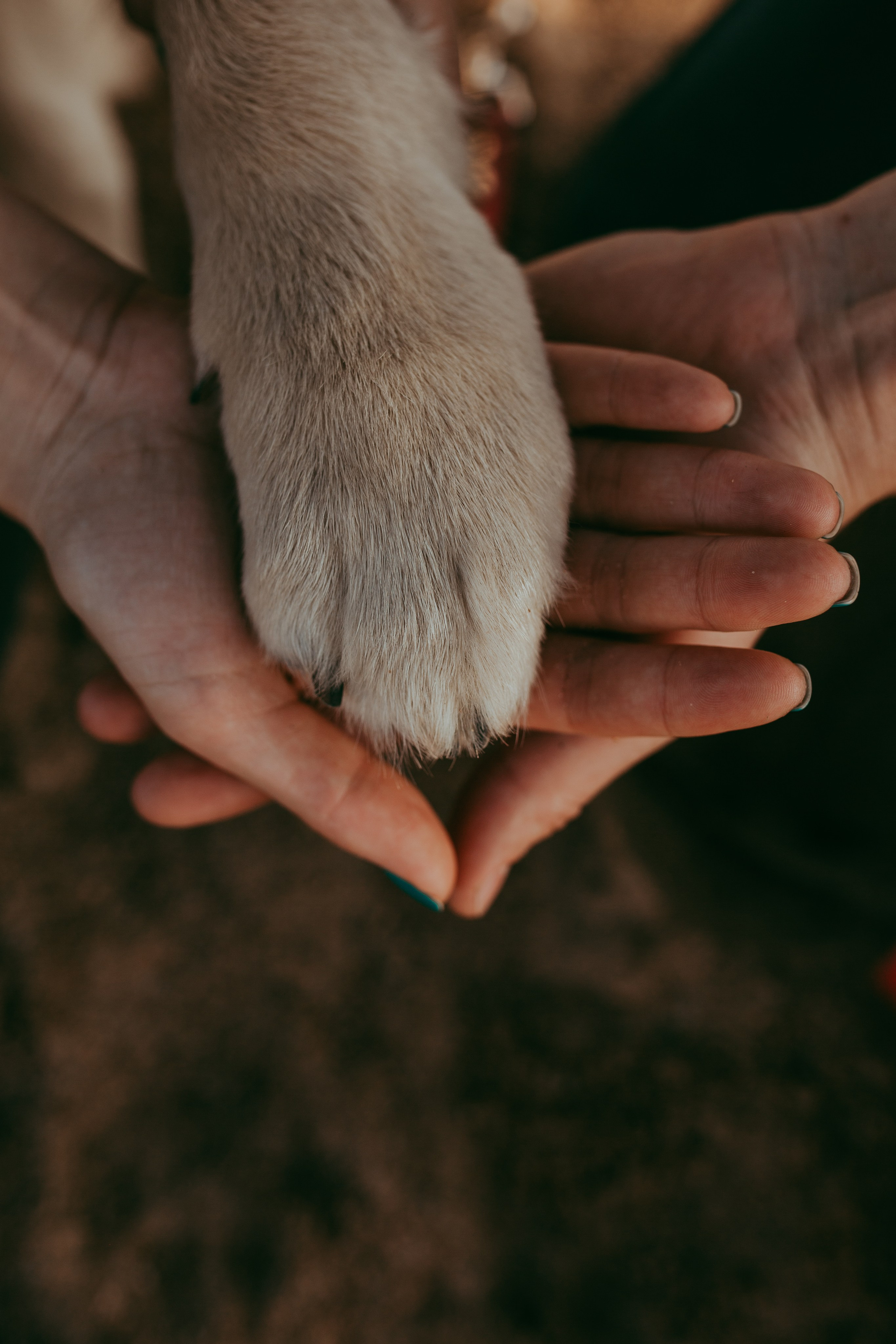 Семейный фотограф Санкт-Петербург Елена Корытцева