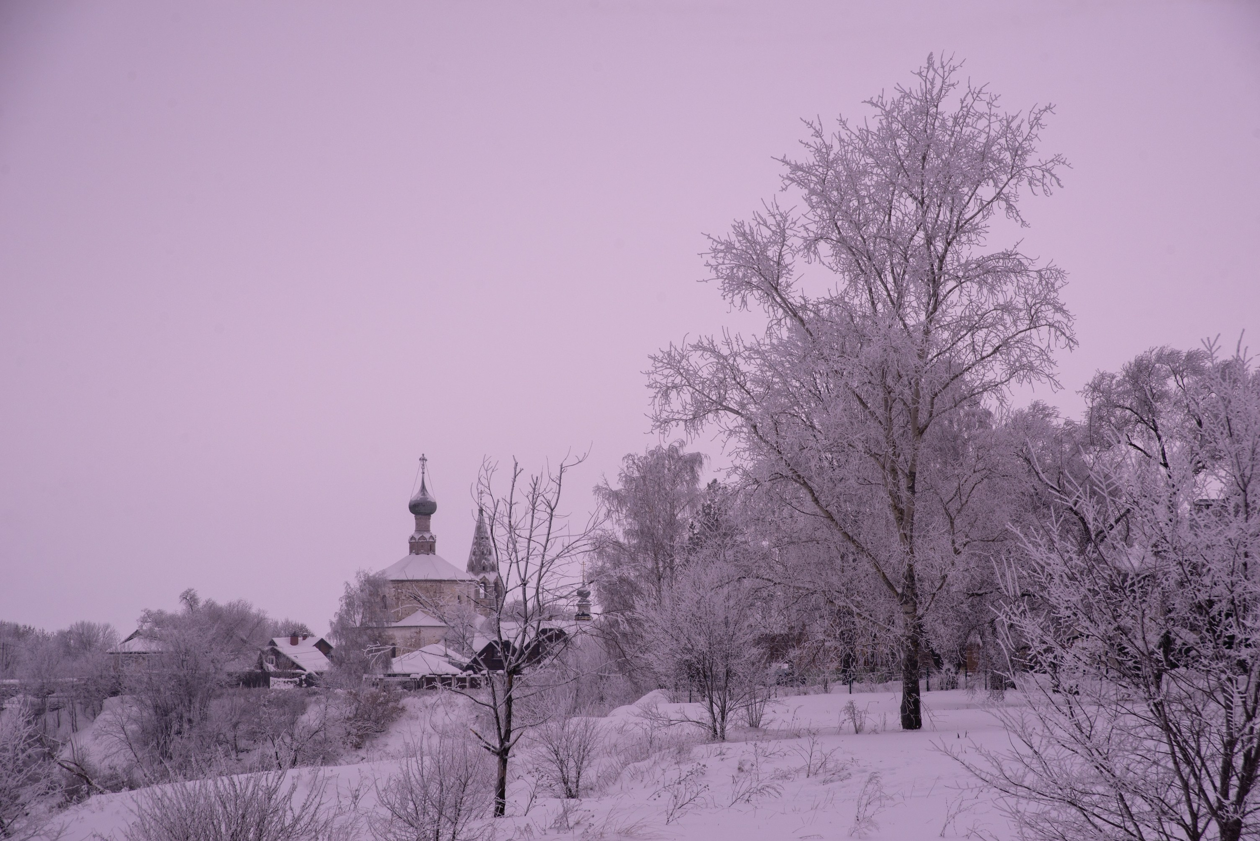 Суздаль. Январь 2022. Игорь Жучков. Россия увиденная глазами путешествующего фотографа