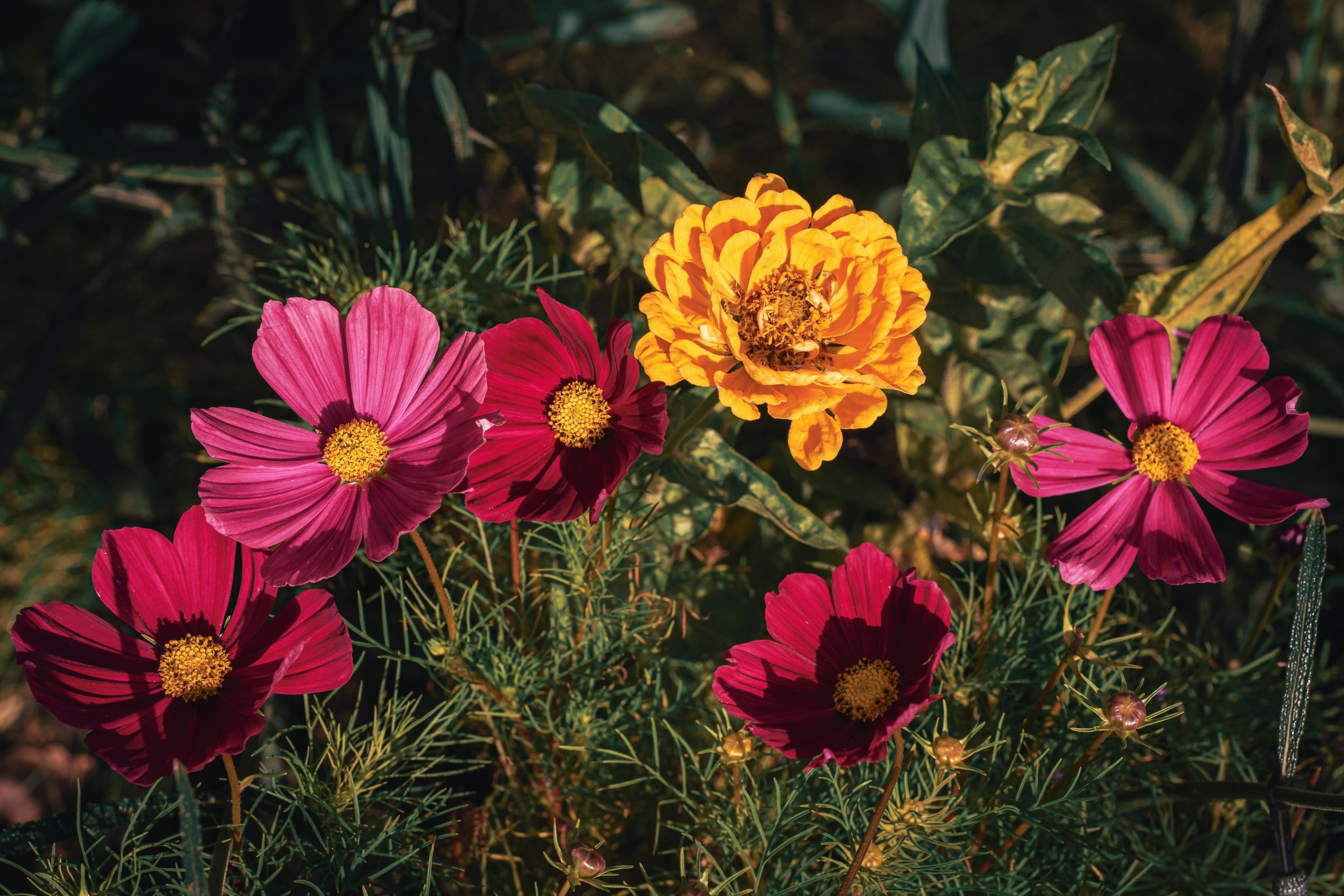 Фото-прогулка. Пенкин Александр