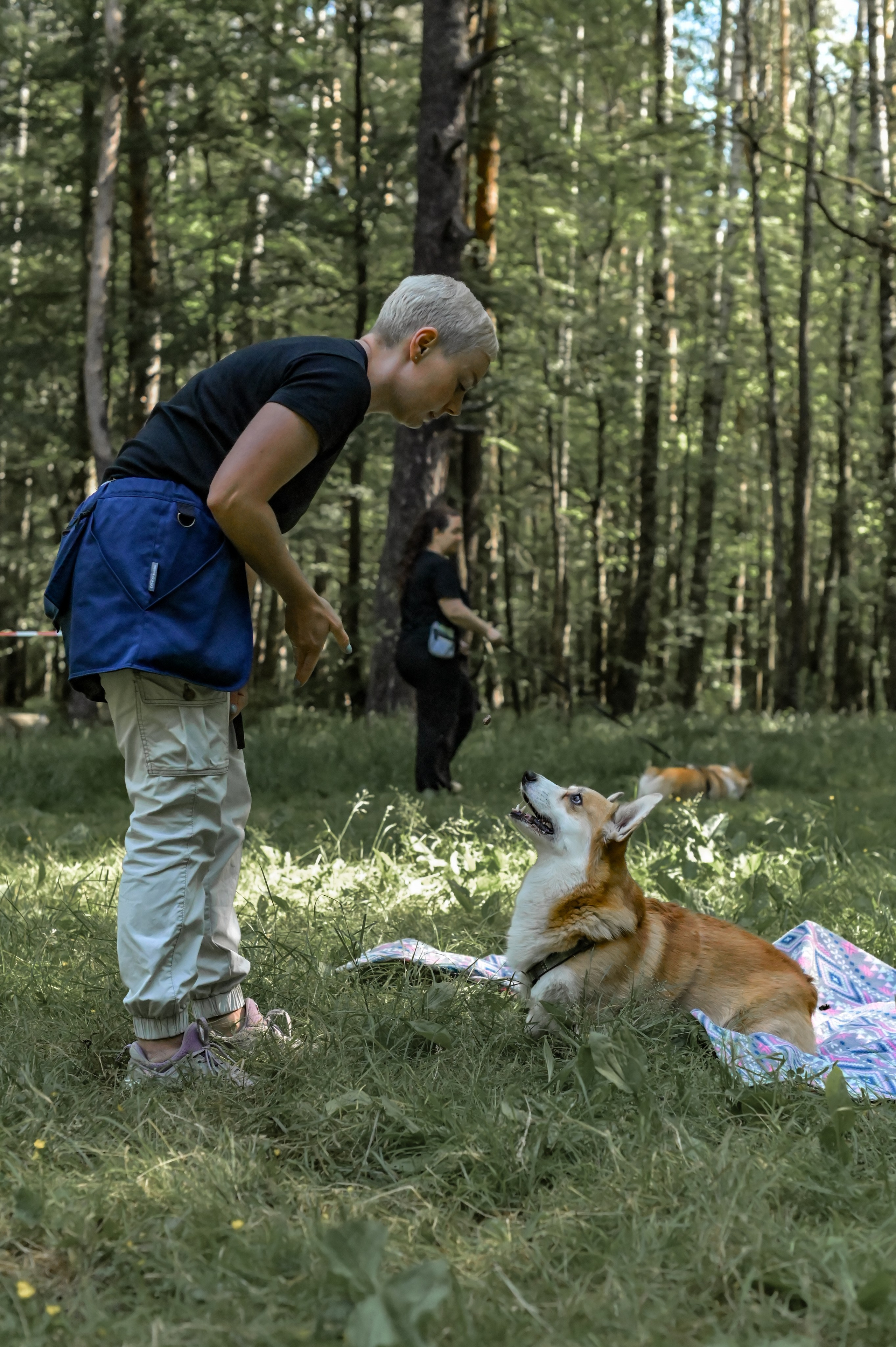 Кинологические соревнования. Семейный и репортажный фотограф в Москве Анастасия Трубкина