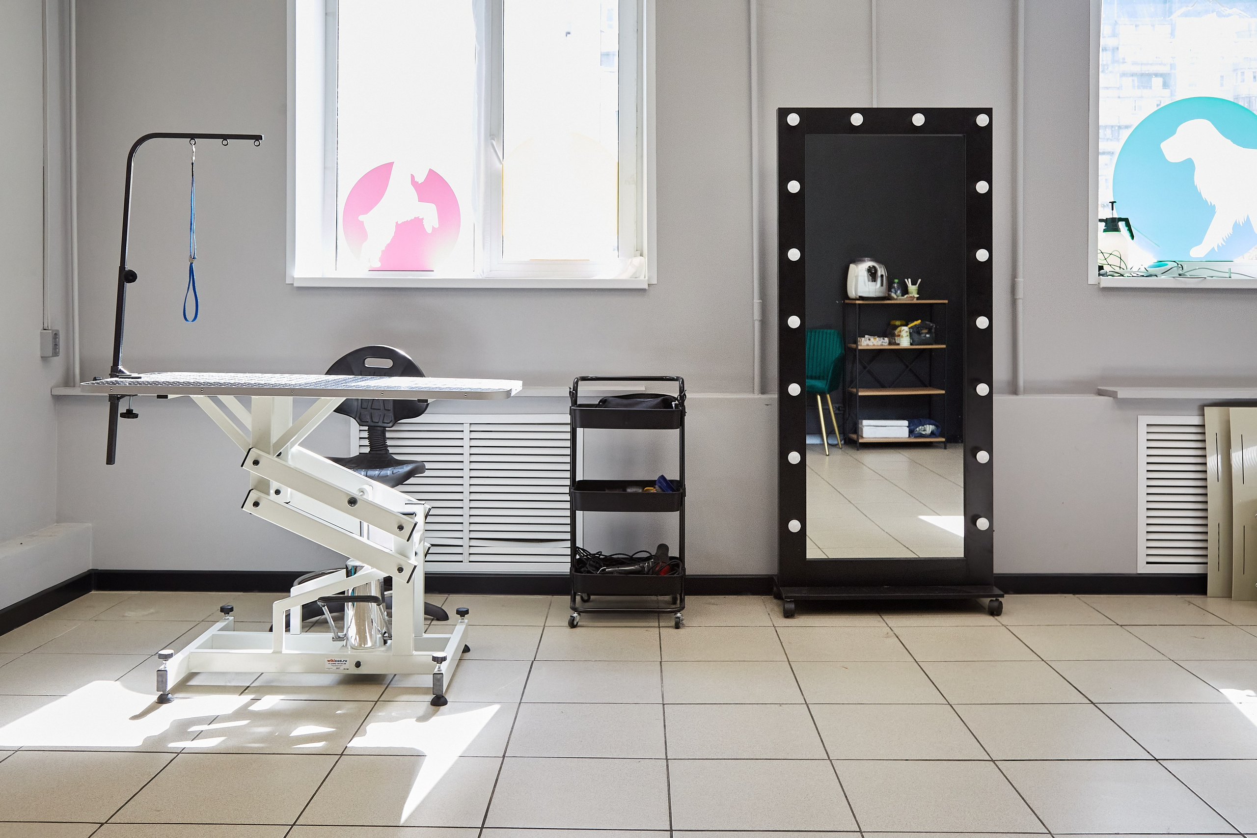 Зоопарикмахерская Avrora Groom. Фотограф Анастасия Леонтьева Санкт-Петербург