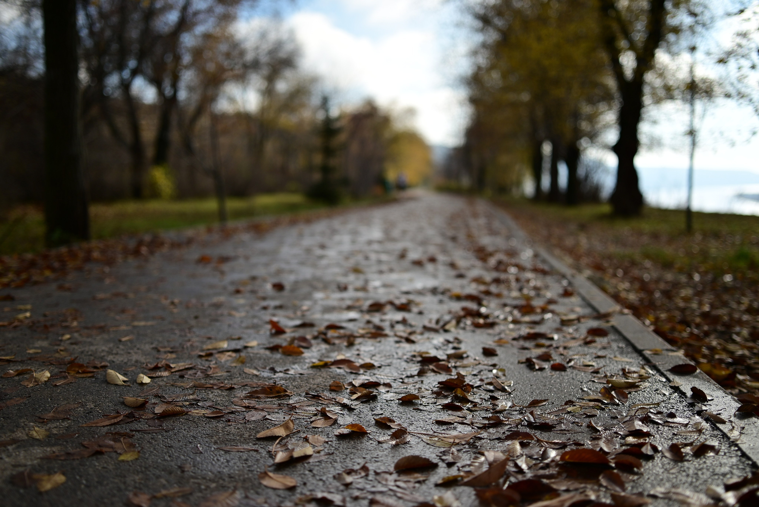 Октябрь над Волгой. Фотосъёмка праздничных мероприятий, портретная съёмка в Самаре, Пётр Бубняев
