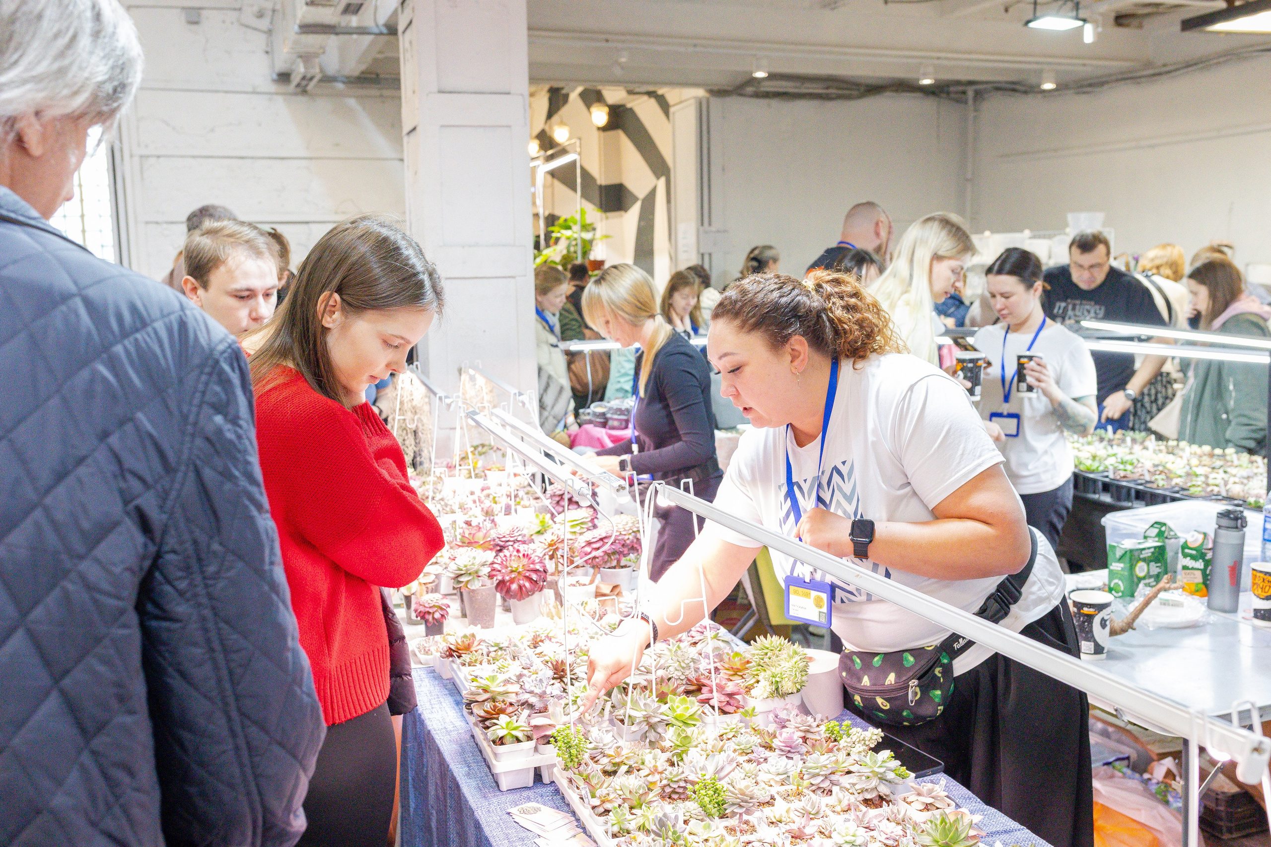 Кактус Фест. Александра Куликова фотограф, Москва