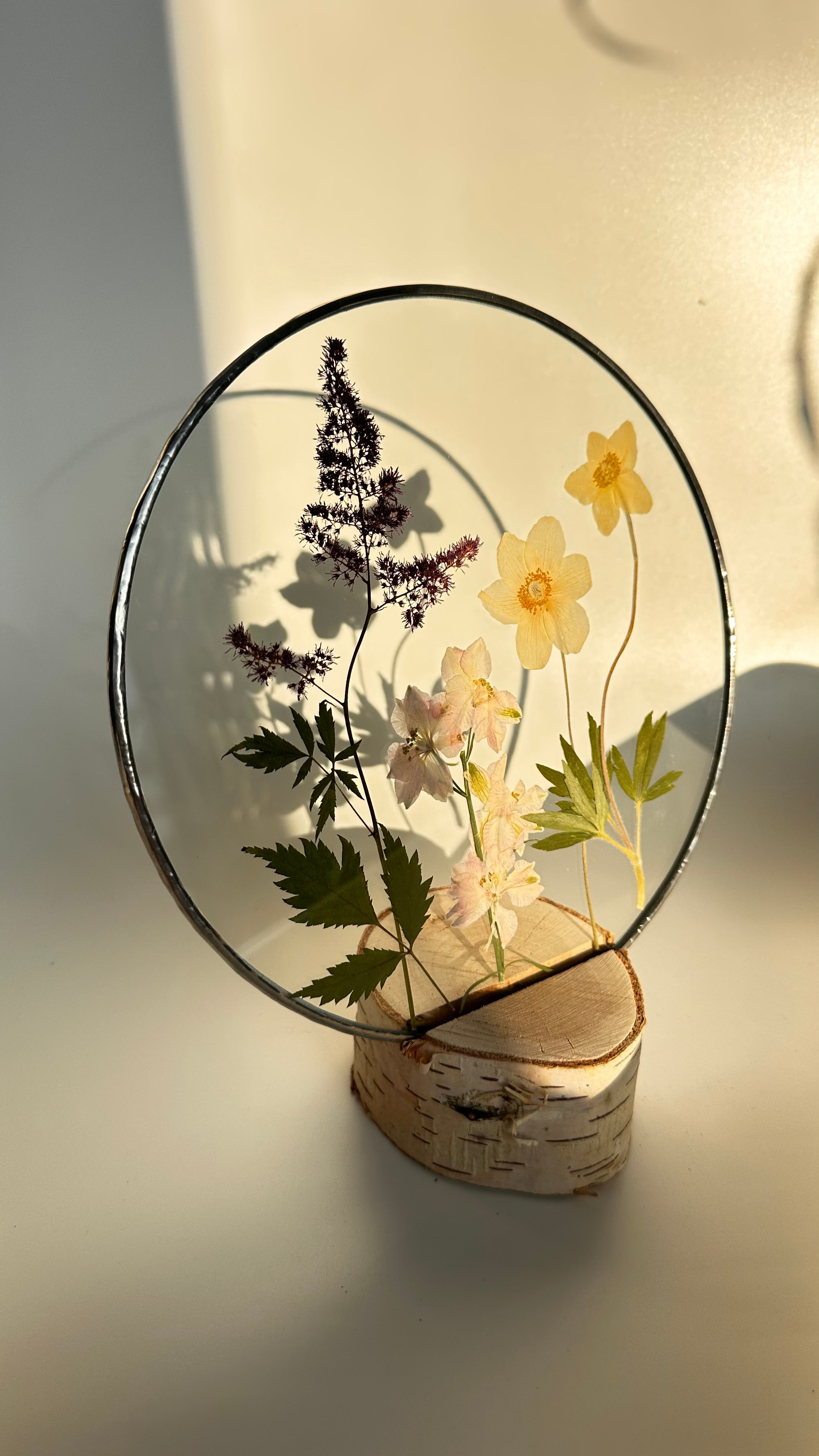 Гербарий в стекле с сухоцветами (витраж в технике тиффани). Гербарий в стекле, интерьерные панно, витражи с сухоцветами в технике тиффани