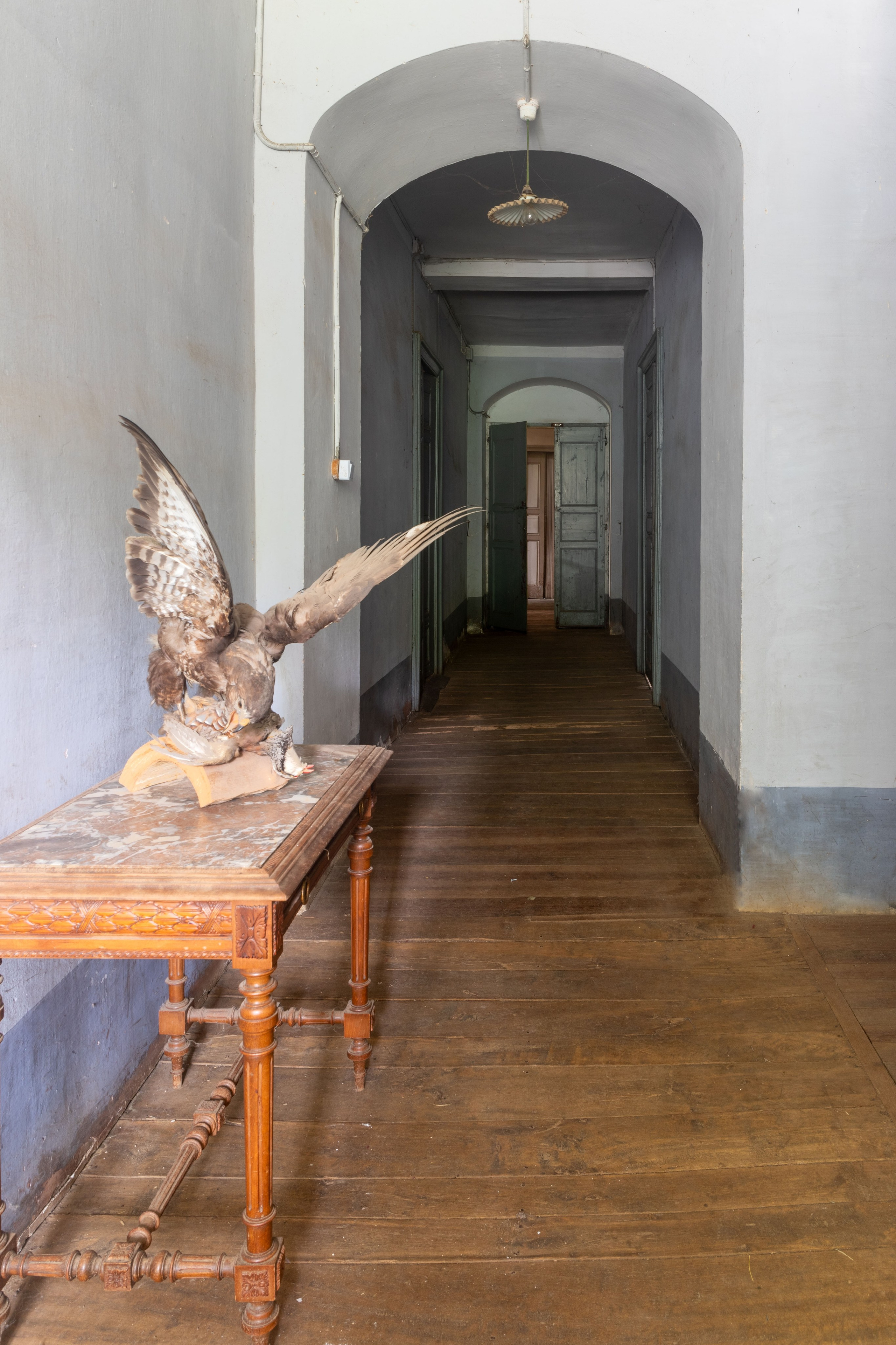 Château La Salvetat sur Agout. Полина Носкова интерьерный фотограф