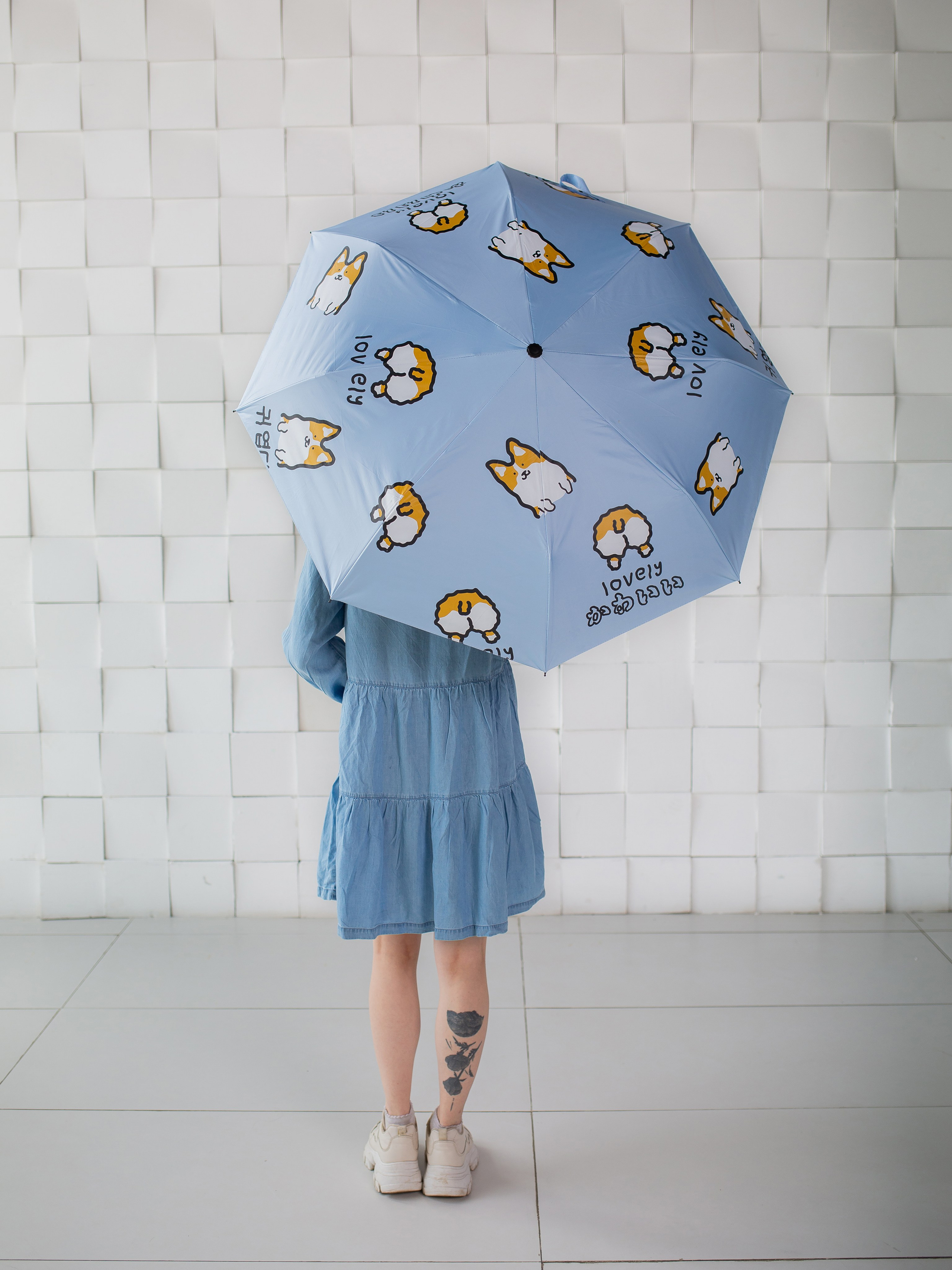 Зонты. Семейный фотограф Николаева Ольга