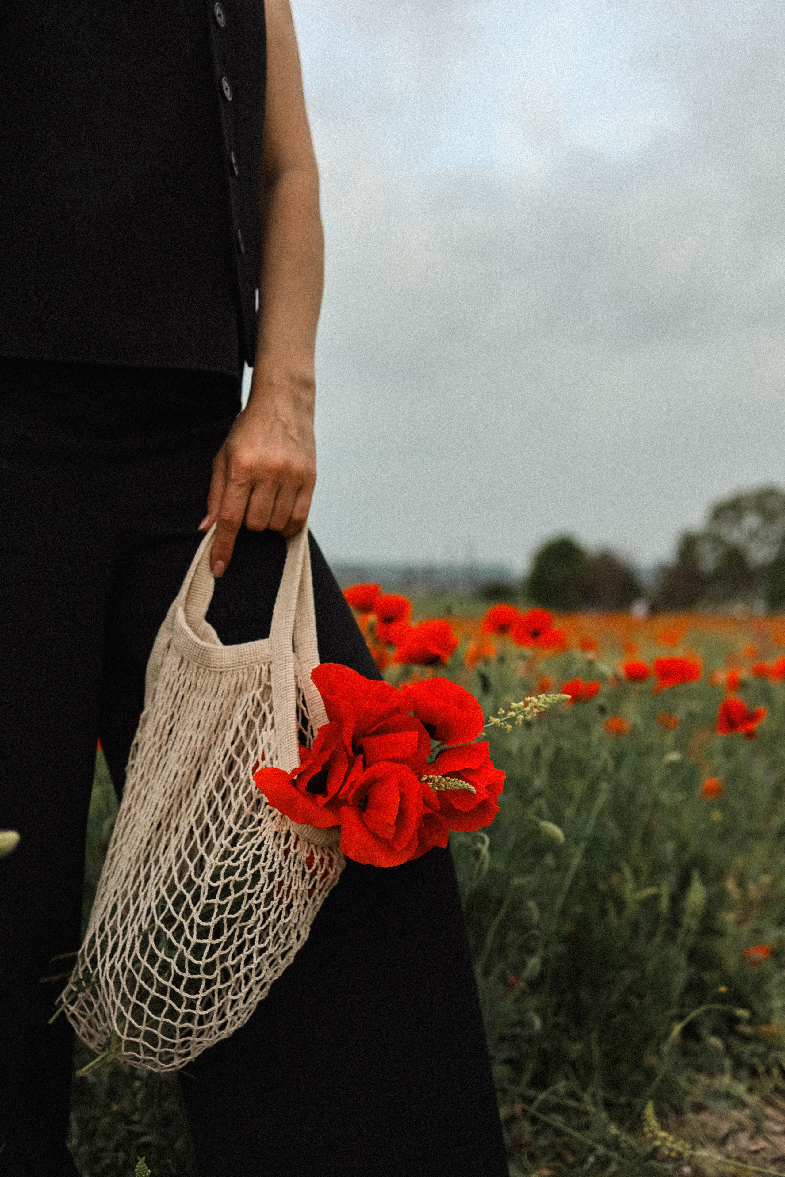Маки. Фотограф Немазенко Ольга
