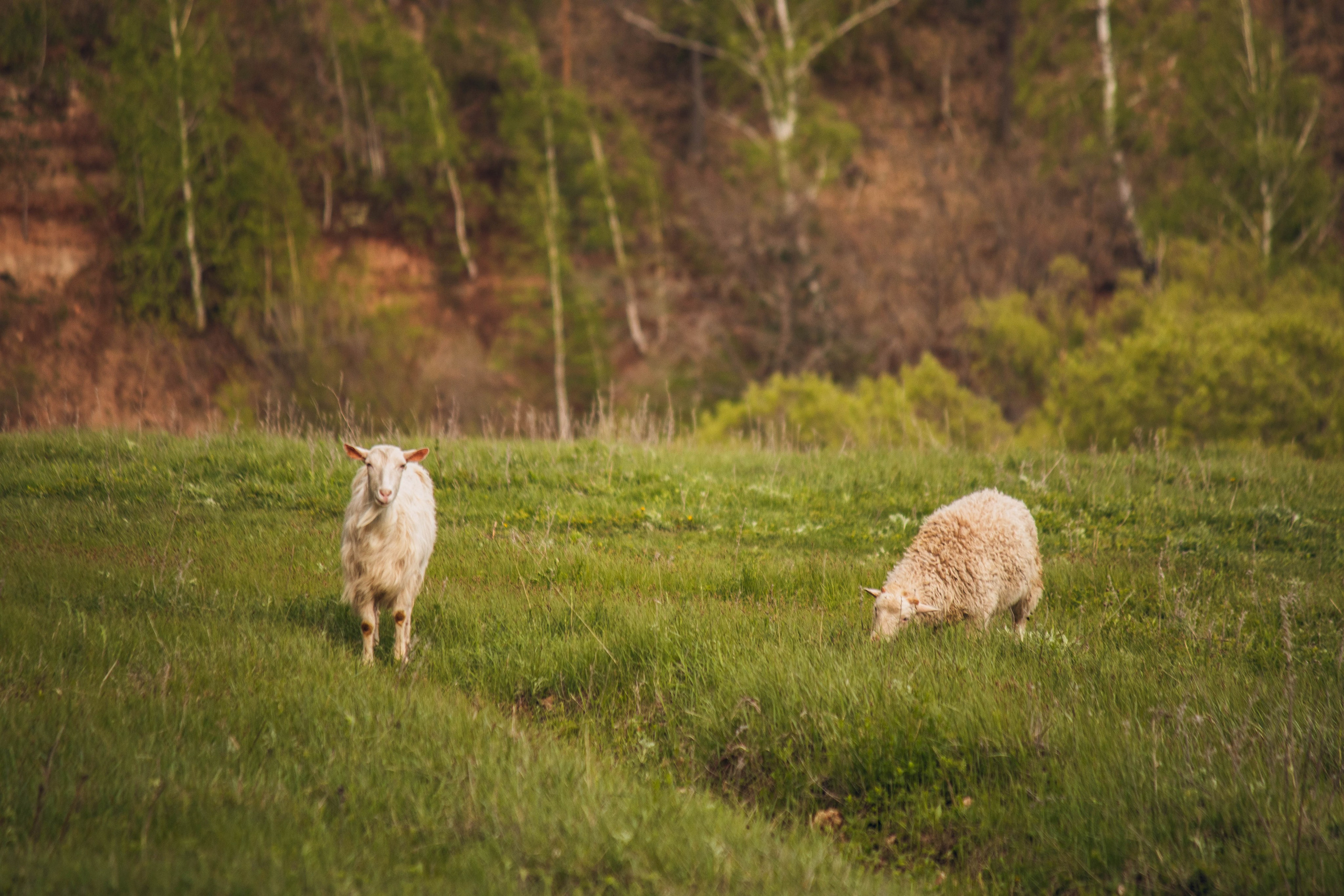 Сокольская гора. Фотограф и видеограф в Бугульме Аня Трутнева