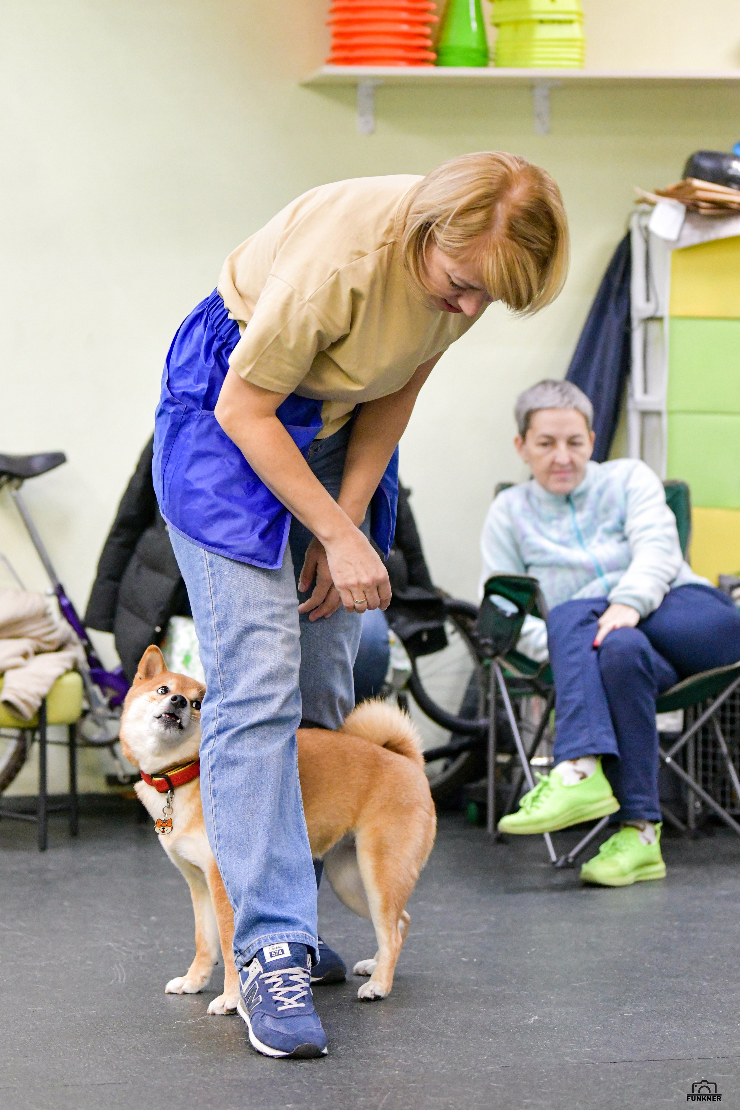 Кинологический клуб «Бодрый хвост». Свой взгляд через объектив