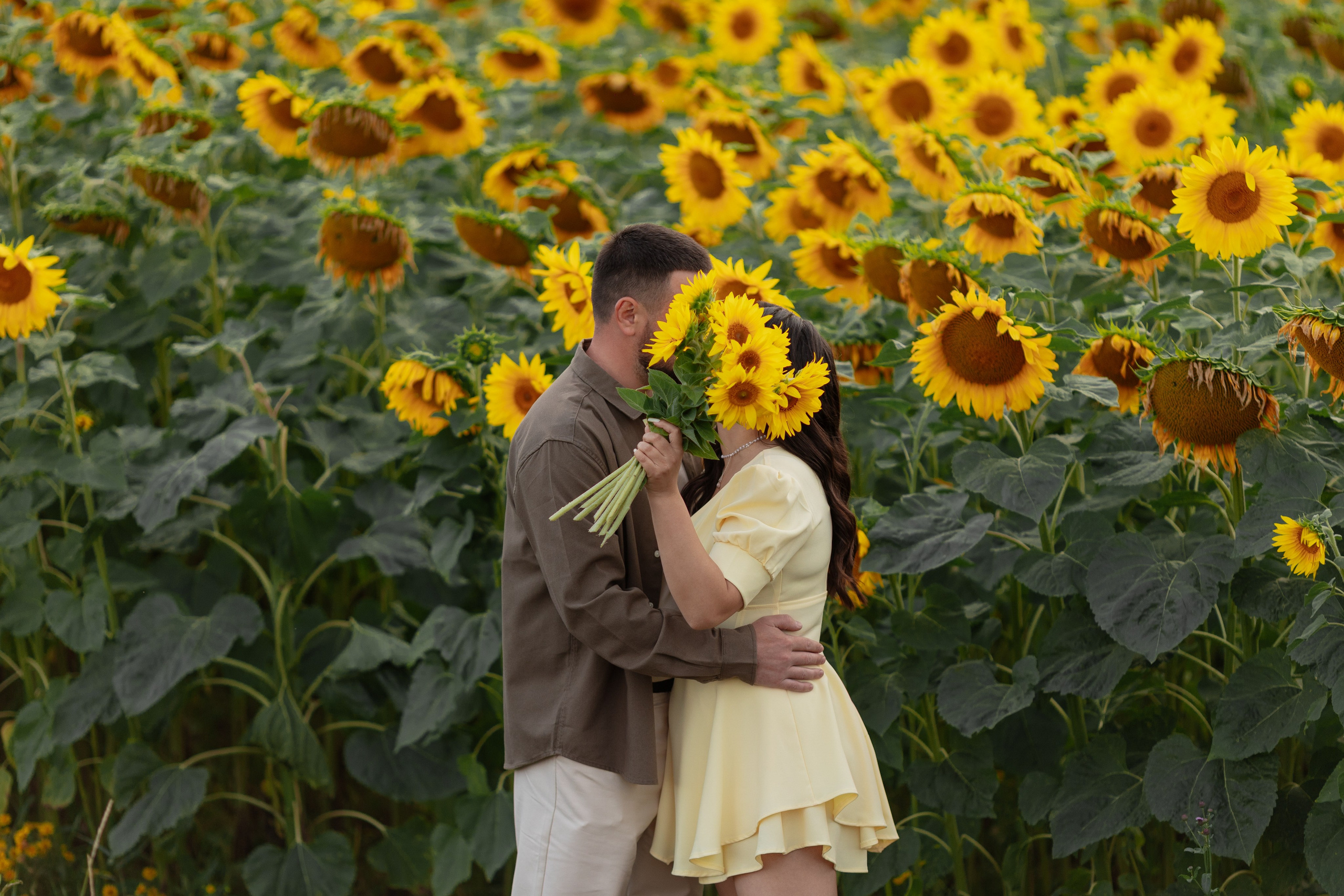 Предсвадебная Подсолнухи. Свадебный и репортажный фотограф г. Чебоксары Евгений Леонидович