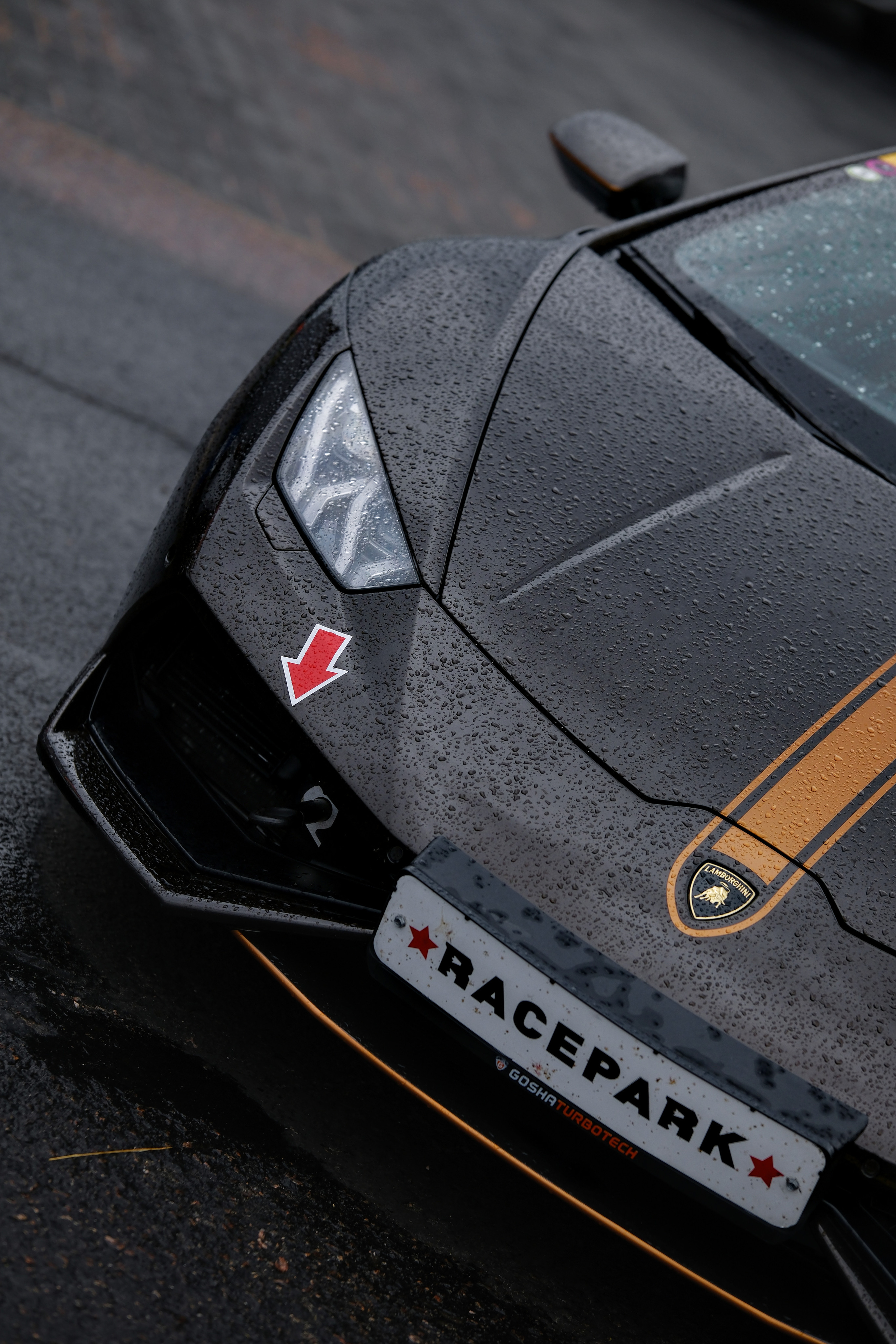 RDRC 2023 Этап 4. Авто и мотоспорт — фотограф Антон Медведев iCoguar