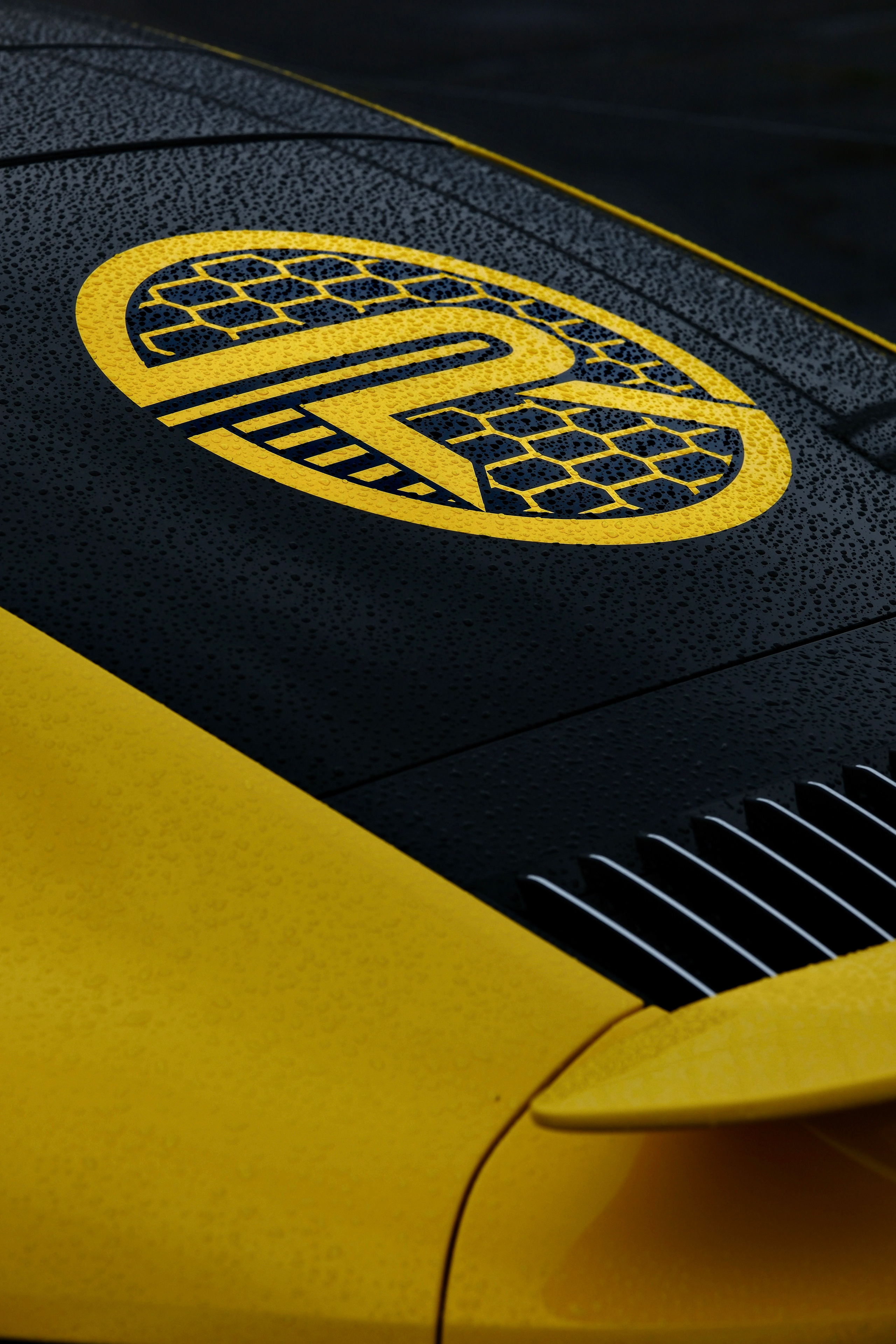 RDRC 2023 Этап 4. Авто и мотоспорт — фотограф Антон Медведев iCoguar