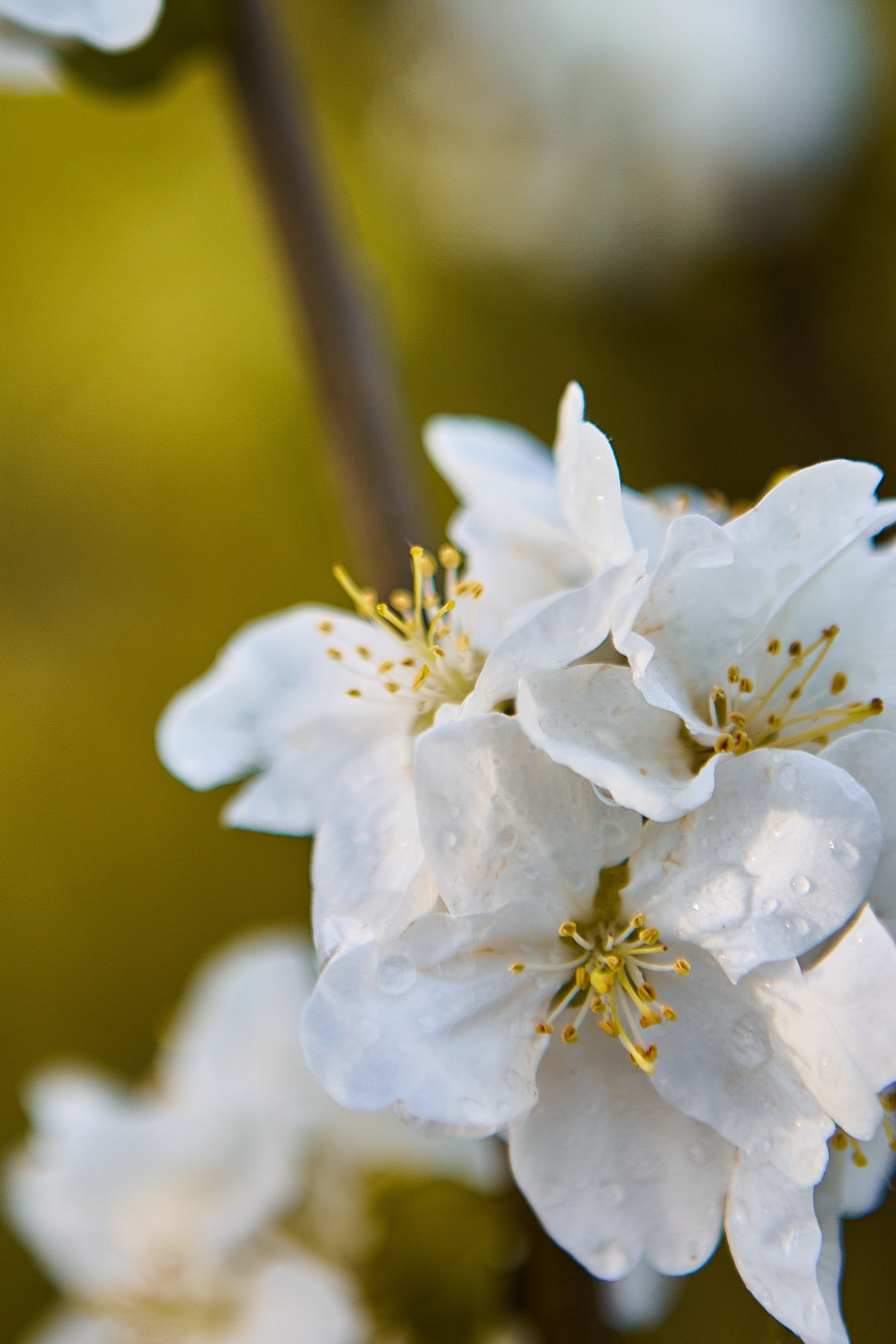 Фотографии природы