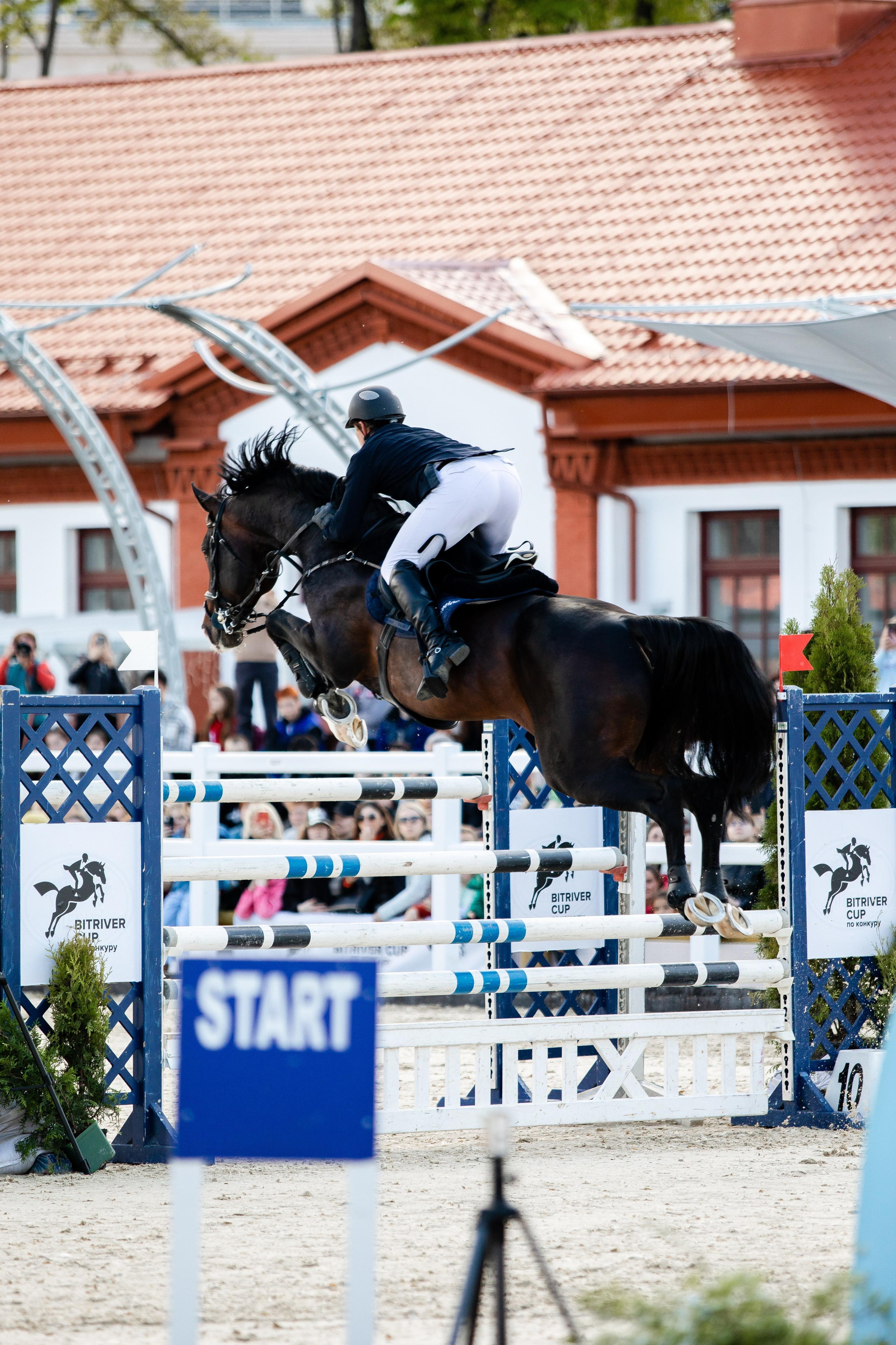 Турниры. Veronika Makeeva horse photo