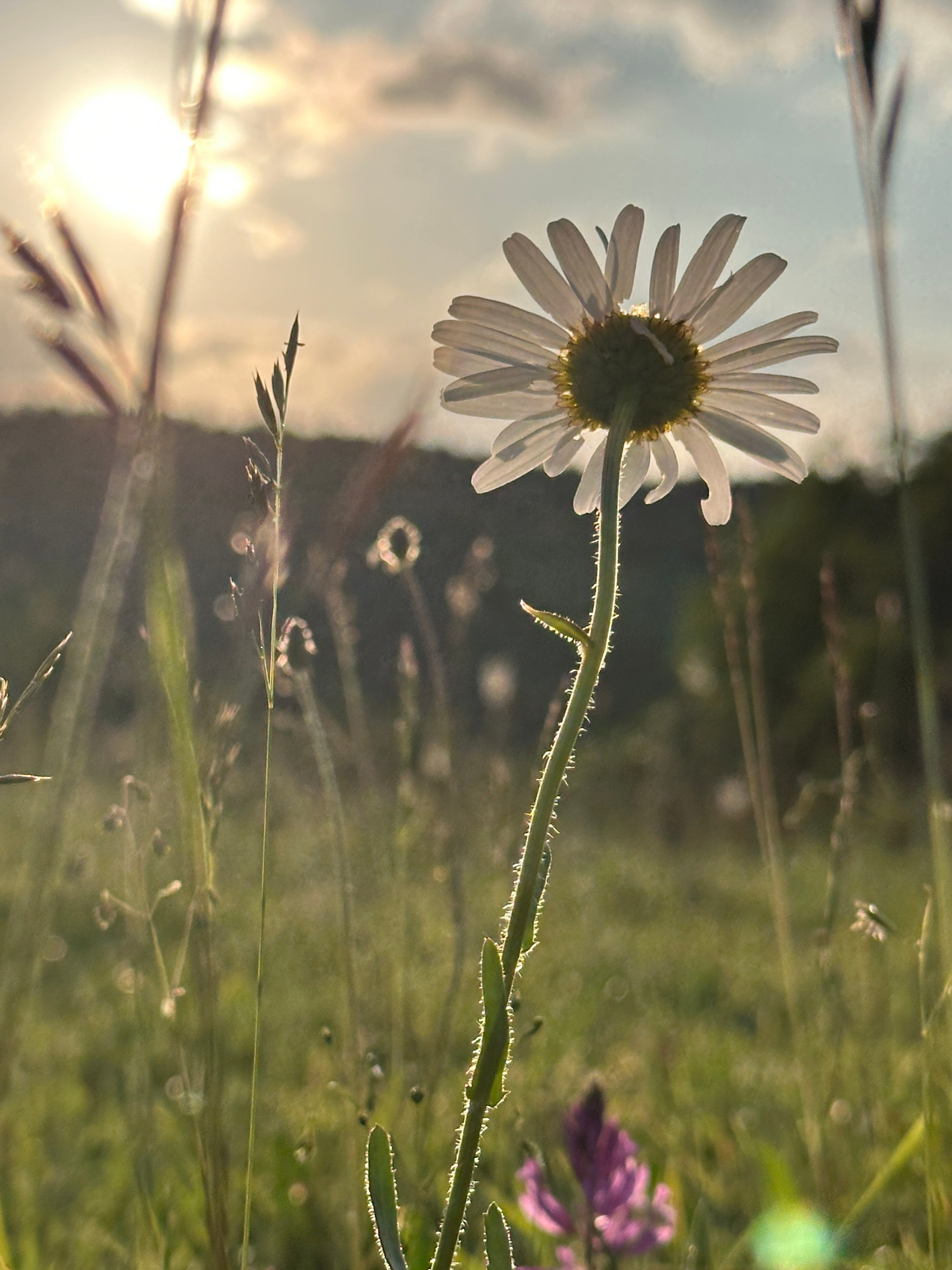 Макро любовь. Смотри, красота!