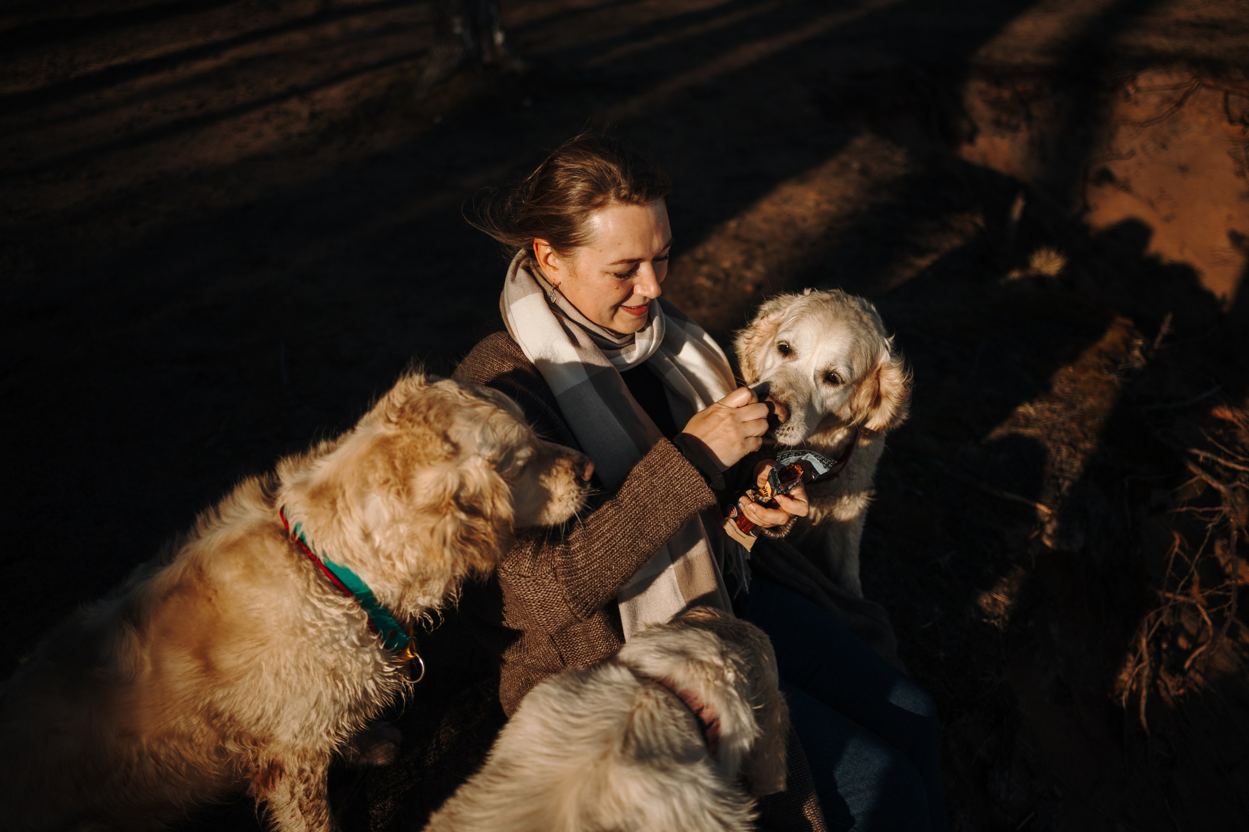 Катя и ее девочки. Фотограф — Анималист | Санкт-Петербург