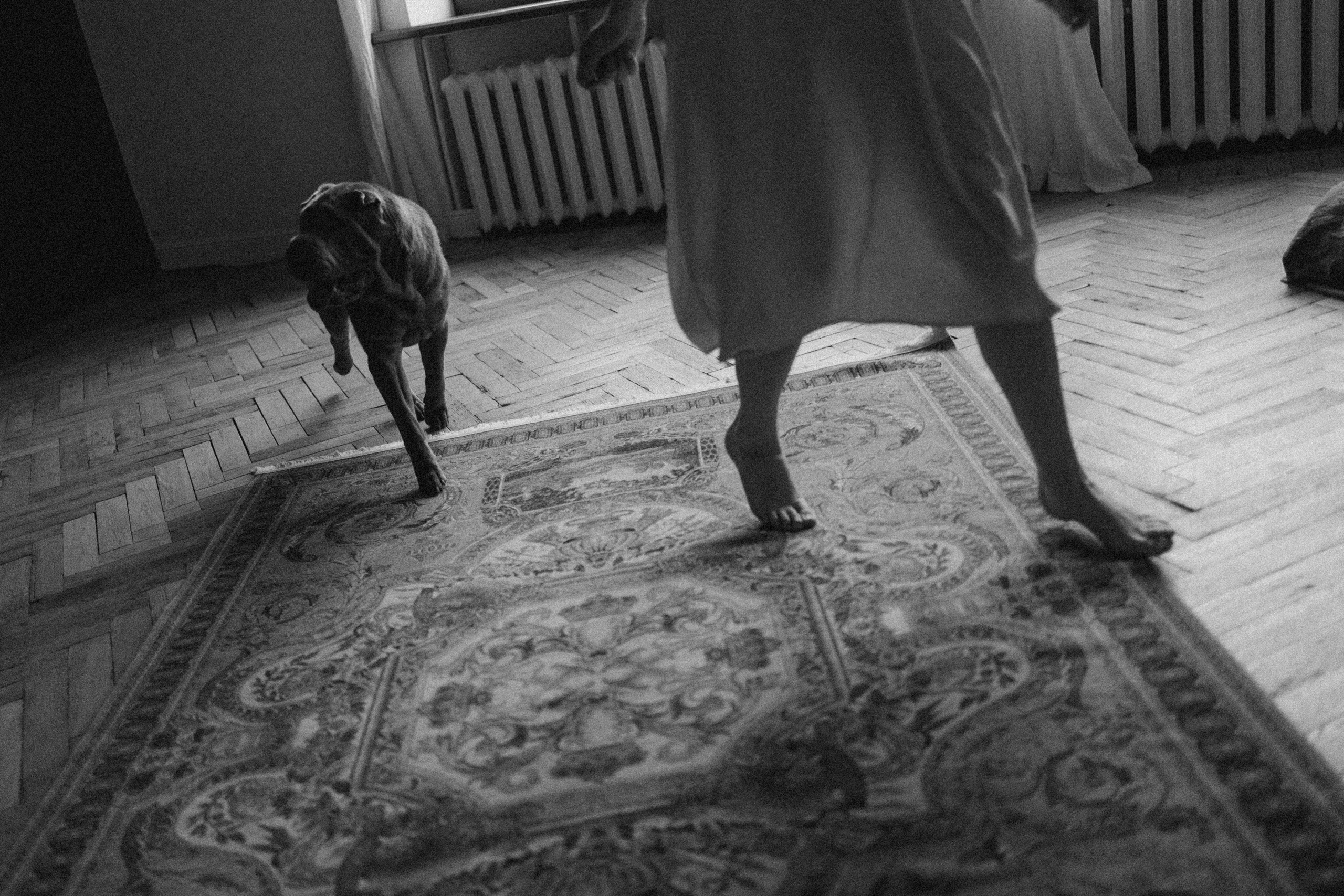 Ульяна и Вагнер. Фотограф — Анималист | Санкт-Петербург