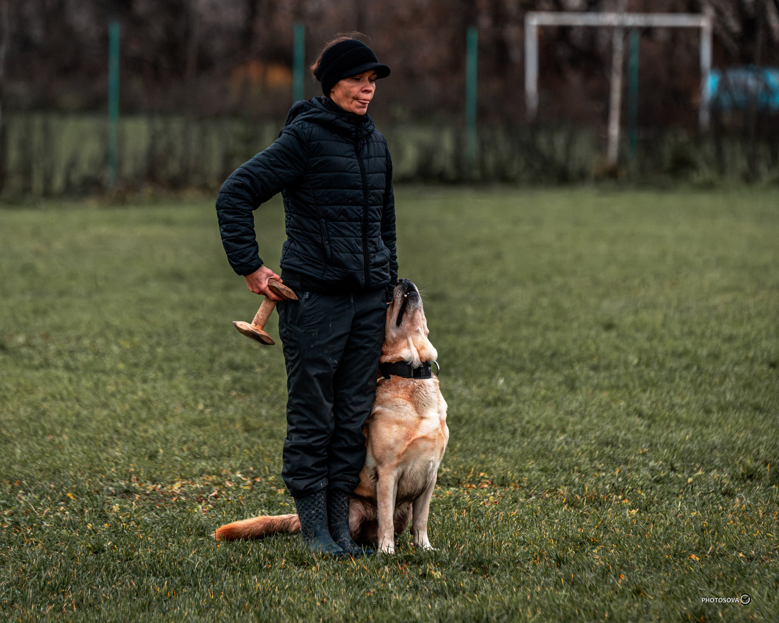 МЫ — КОМАНДА (соревнования) OKD, BH, IBGH, IGP. Фотограф-анималист, семейный фотограф в Москве и Подмосковье. Фотосъёмка кинологических дисциплин