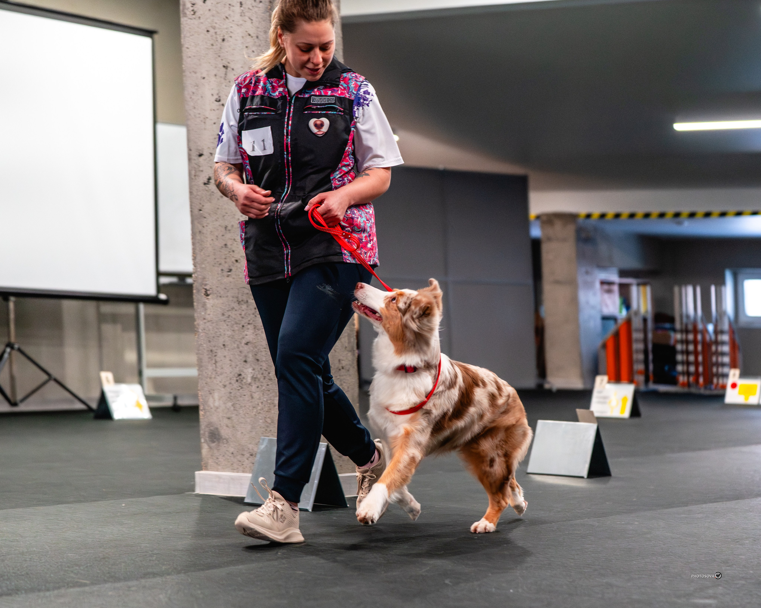 ТЫ И Я (соревнования по ралли-обидиенс). Фотограф-анималист, семейный фотограф в Москве и Подмосковье. Фотосъёмка кинологических дисциплин