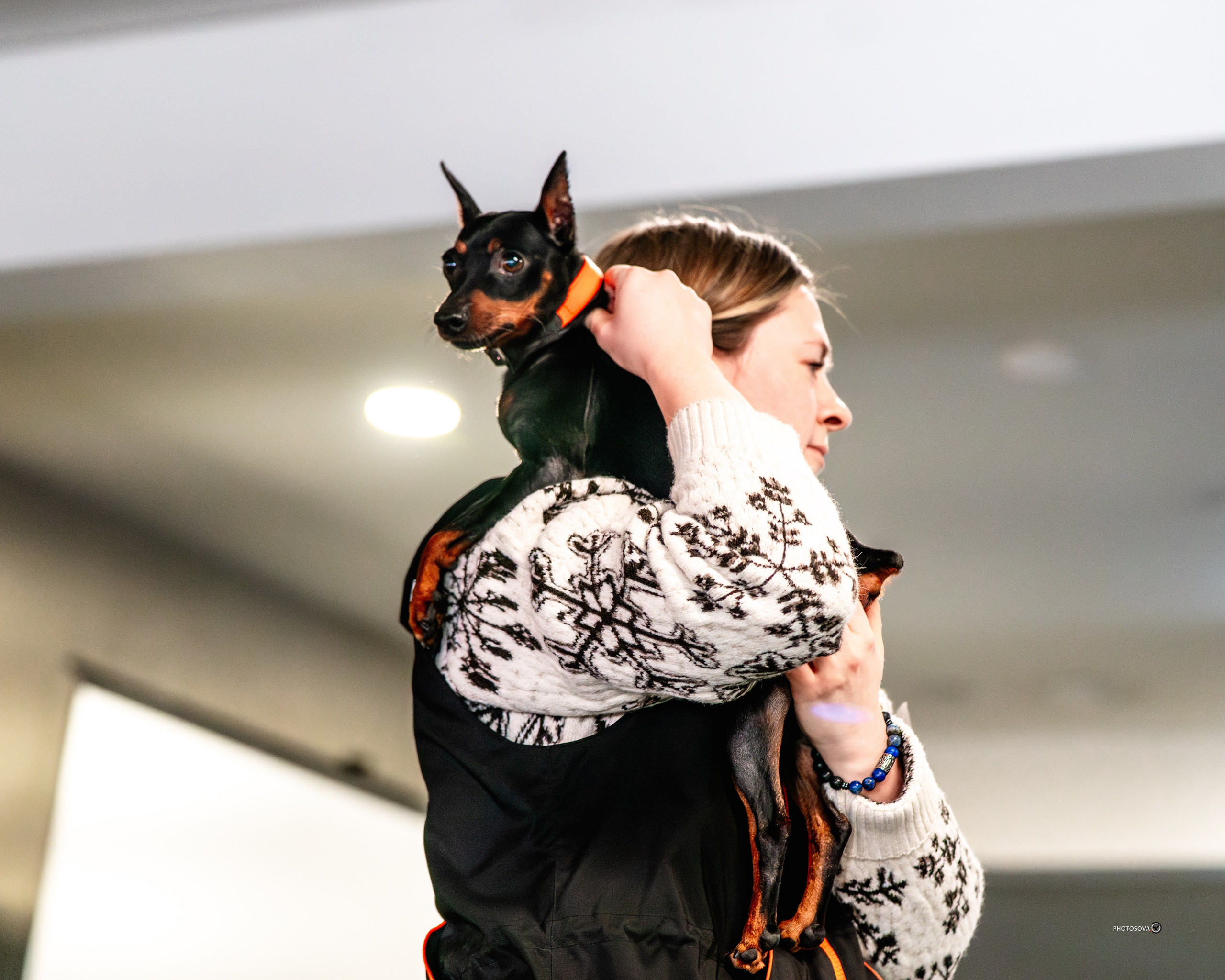 ТЫ И Я (соревнования по ралли-обидиенс). Фотограф-анималист, семейный фотограф в Москве и Подмосковье. Фотосъёмка кинологических дисциплин