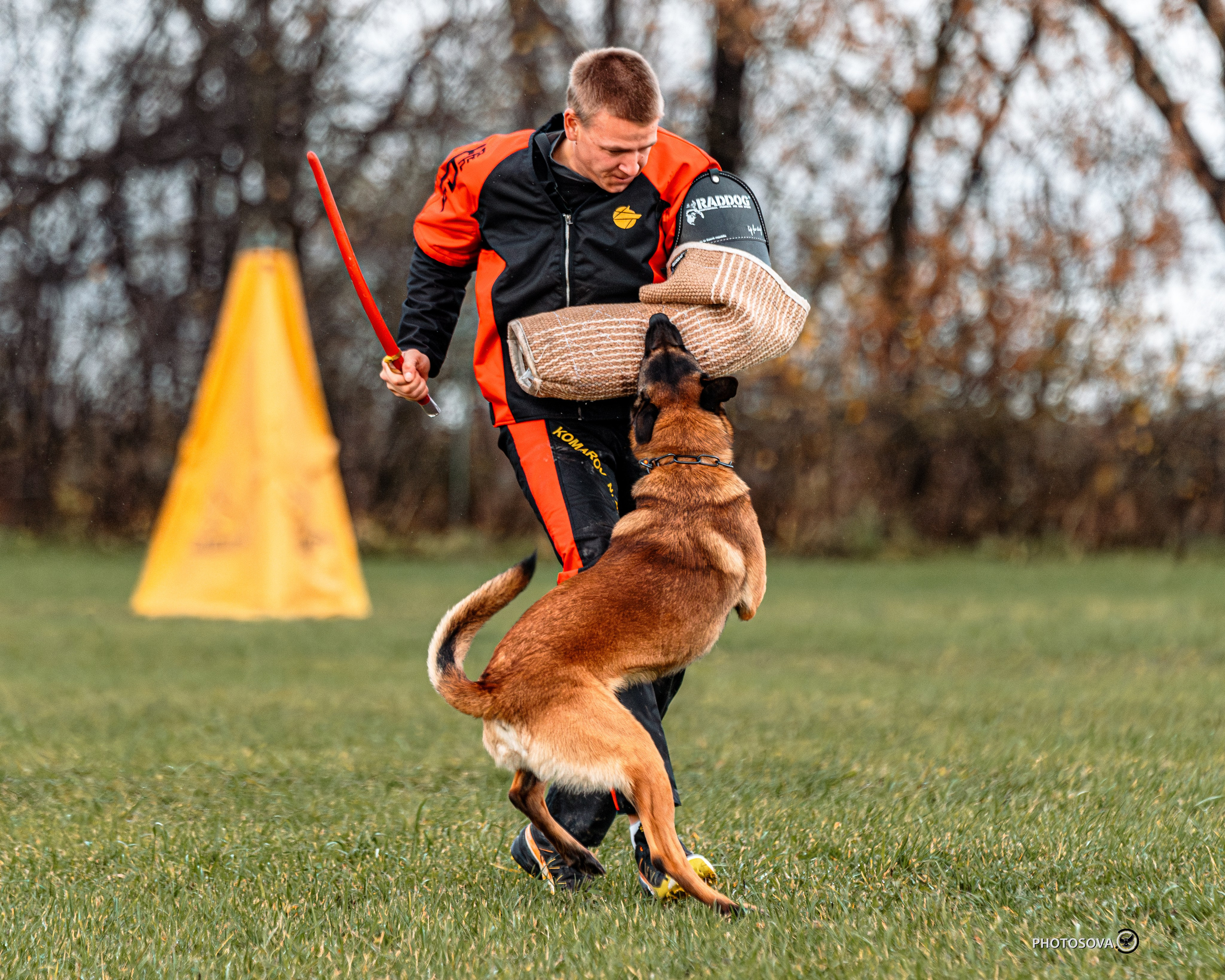 МЫ — КОМАНДА (соревнования) OKD, BH, IBGH, IGP. Фотограф-анималист, семейный фотограф в Москве и Подмосковье. Фотосъёмка кинологических дисциплин