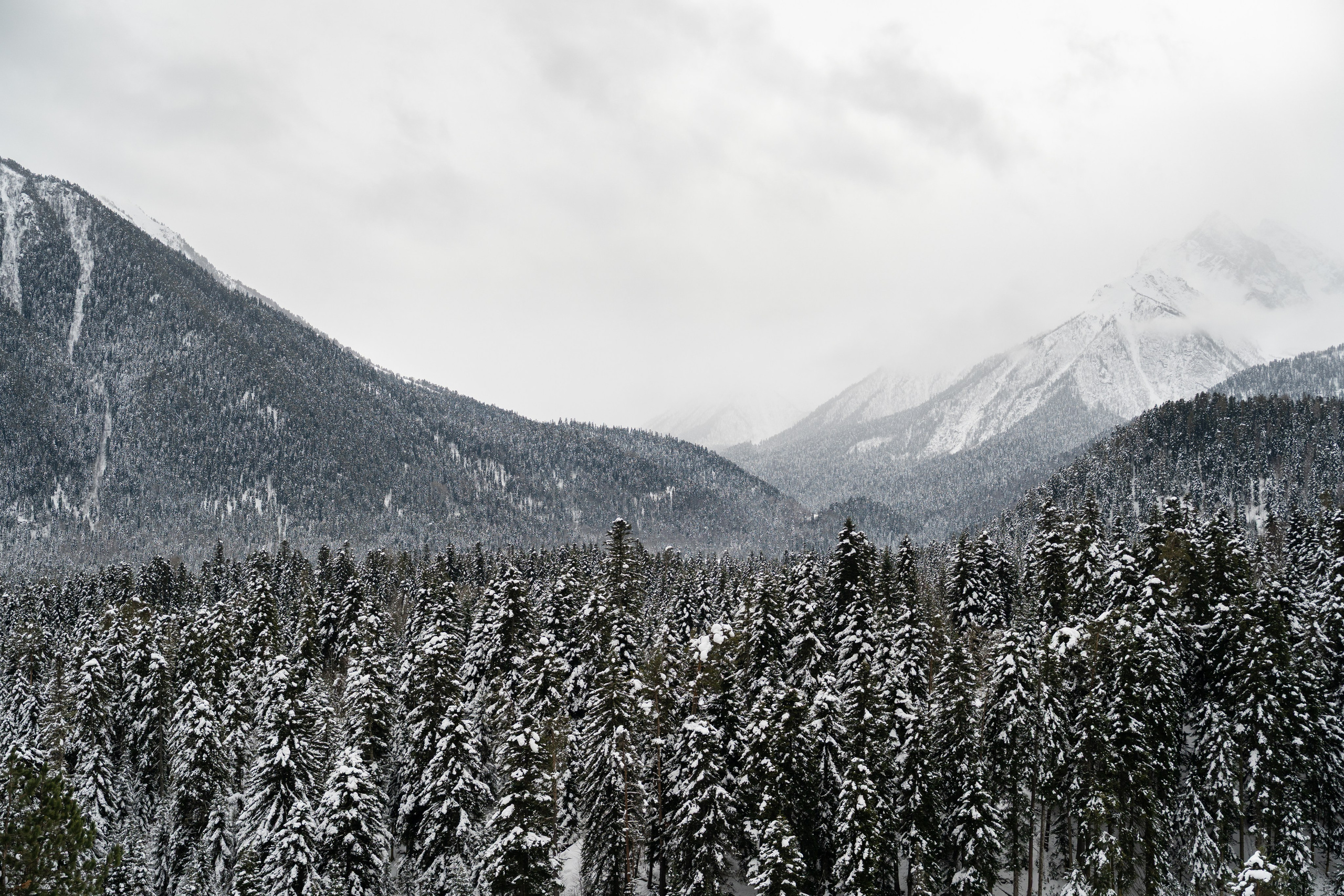 Sofia Shale. Фотограф и видеограф Елена Хмелевская