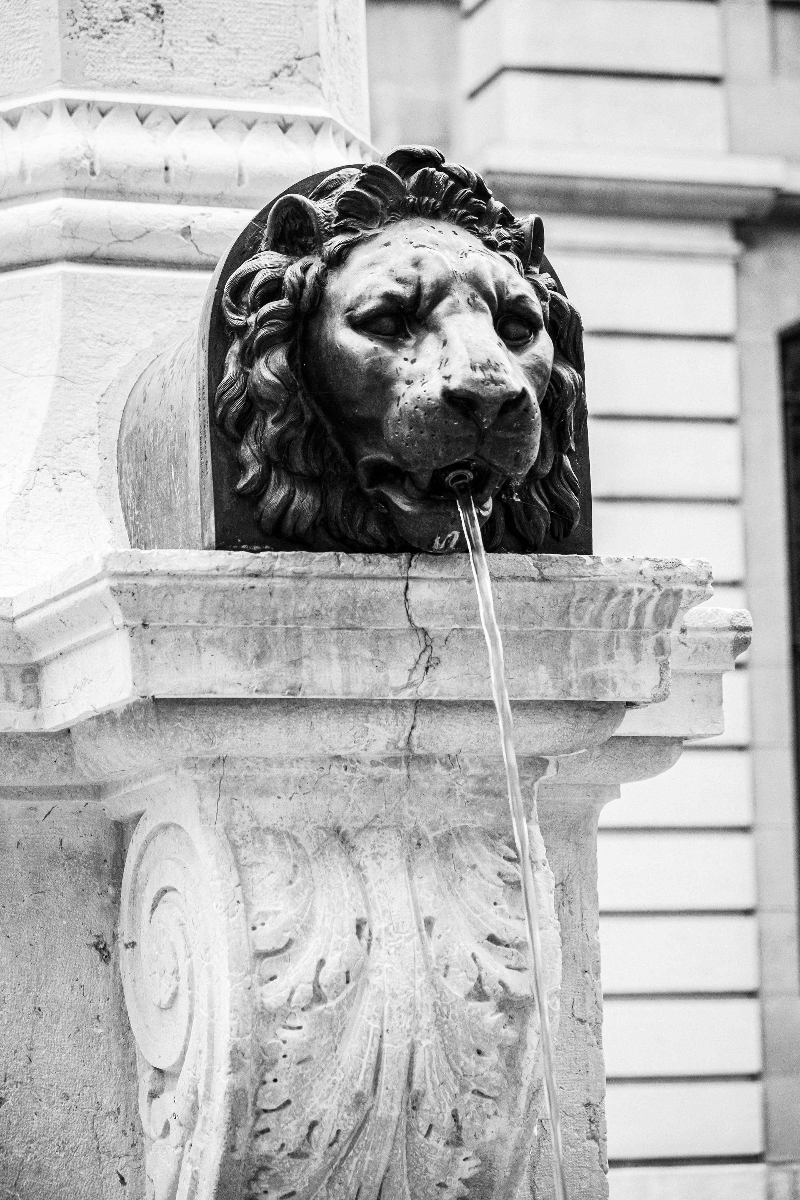 Женева. Фотограф Антон Швец — Монохромная реальность