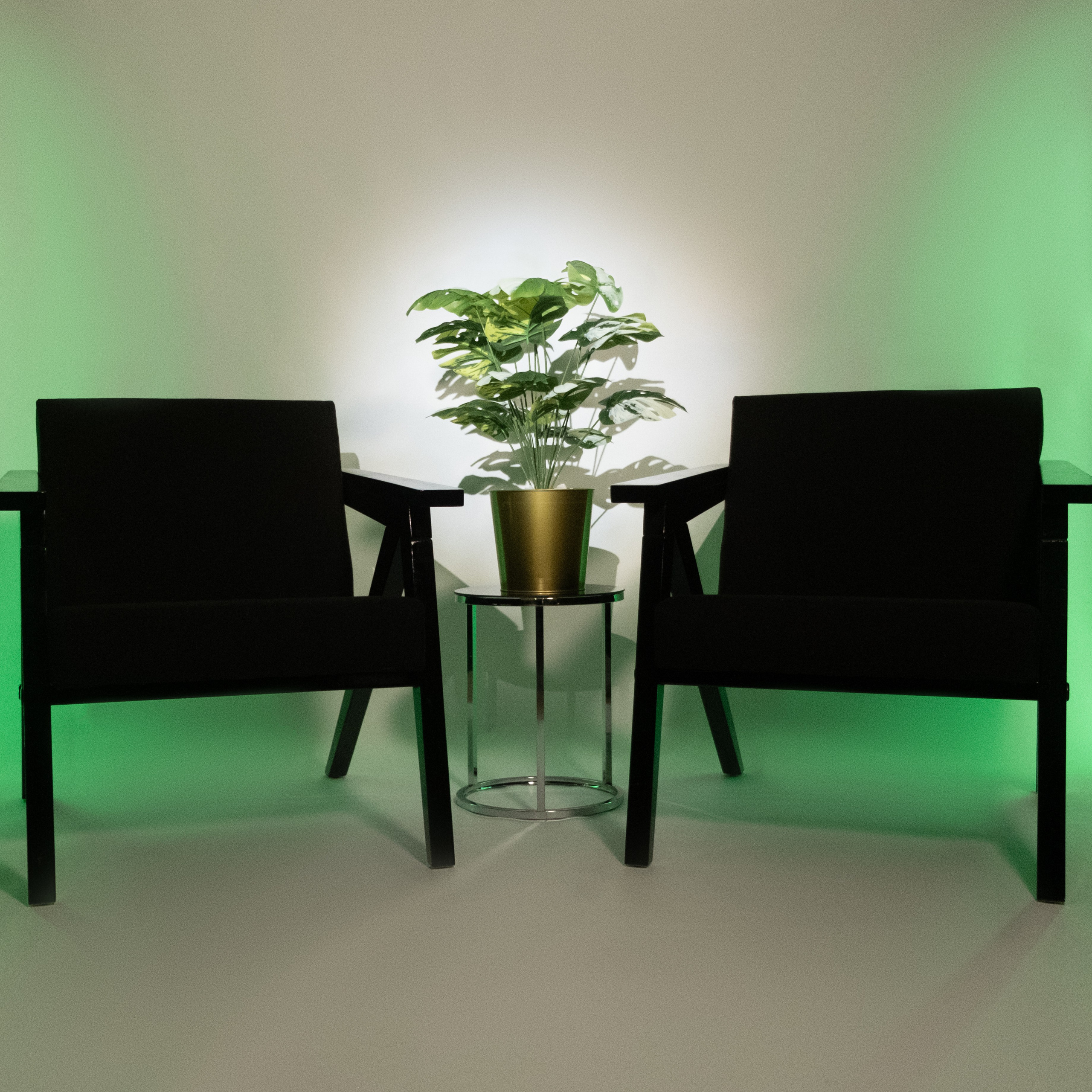 Студия. Фотограф Коробова Екатерина